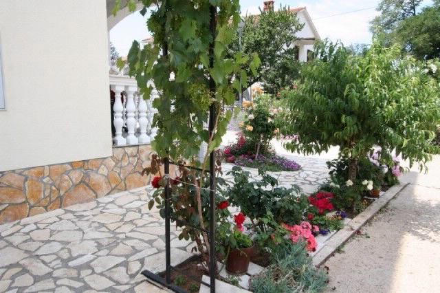 Apartments Žnidarec 10072-A3