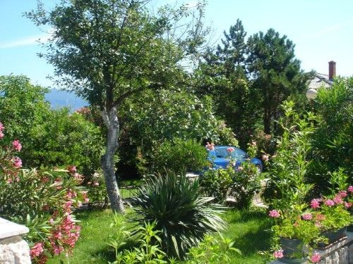 Apartments Grskovic G. Jesenovica 60242-A2