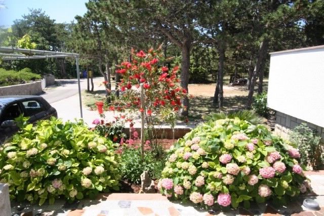 Apartments Villa Marica 60247-A1