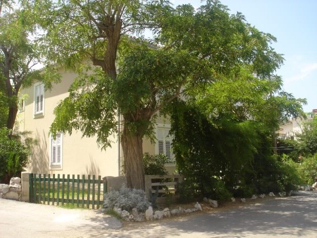 Apartments Car Zorica 60261-A1