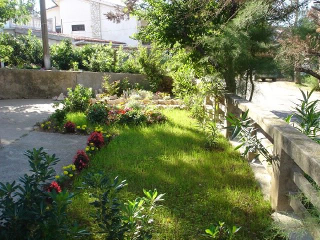 Apartments Car Zorica 60261-A1