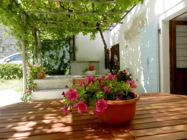 House Elena 75591-K1