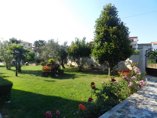 Apartments and Rooms Ana 70121-A2