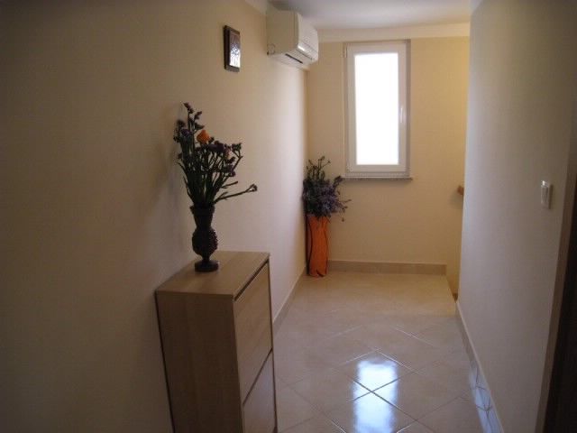Apartments Nidisa 64151-A1