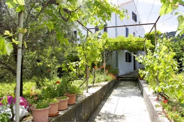 Apartment Renata 64771-A2