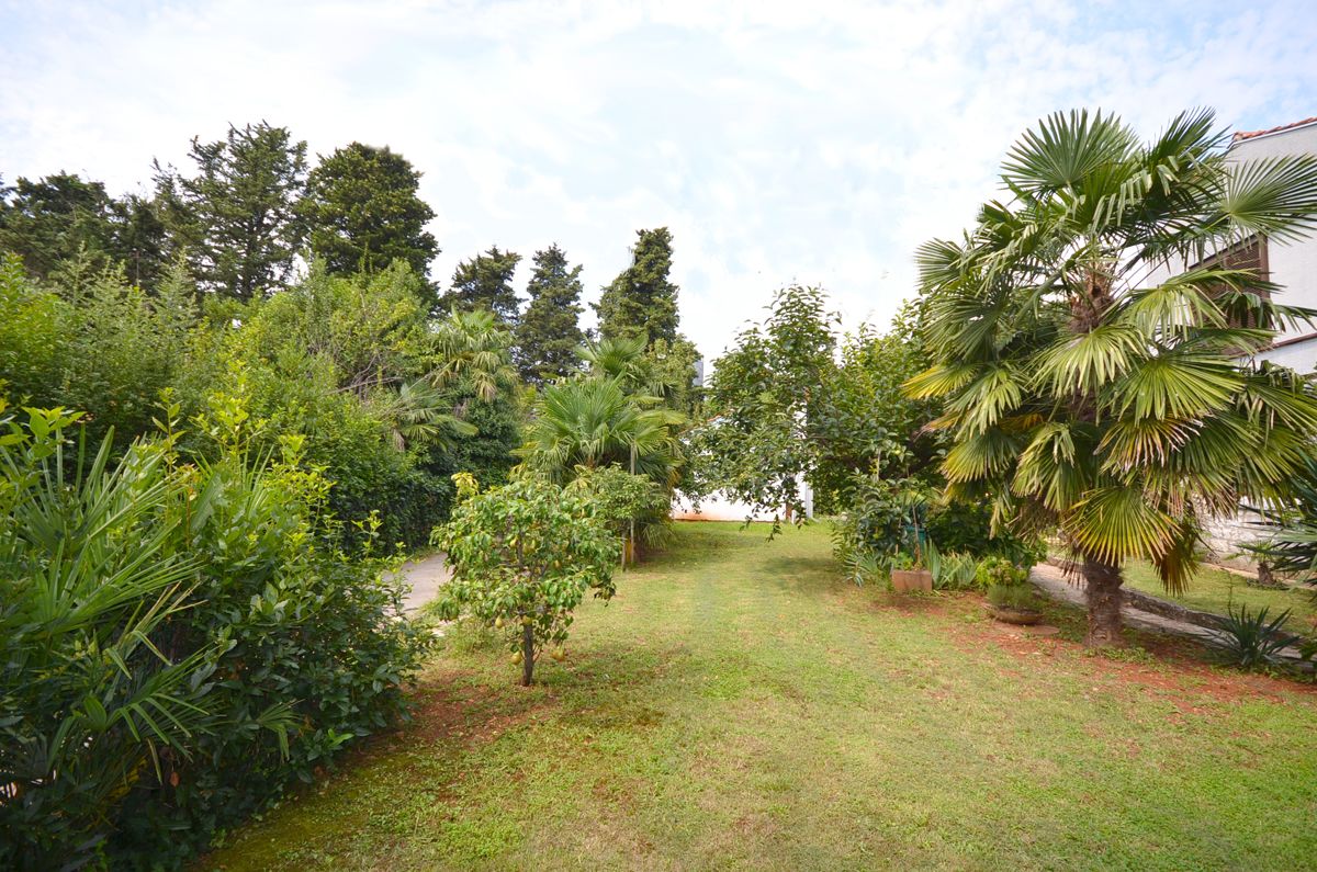 Apartments Dasen 75951-A2