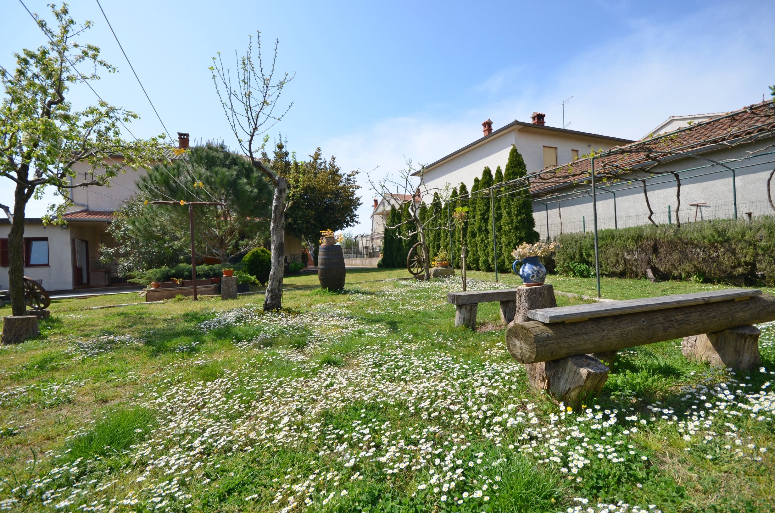 Apartments Mirela 70781-A1