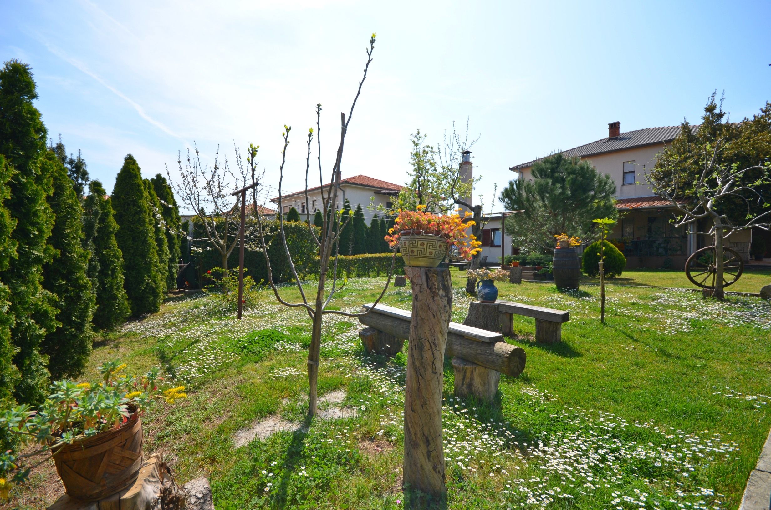 Apartments Mirela 70781-A1
