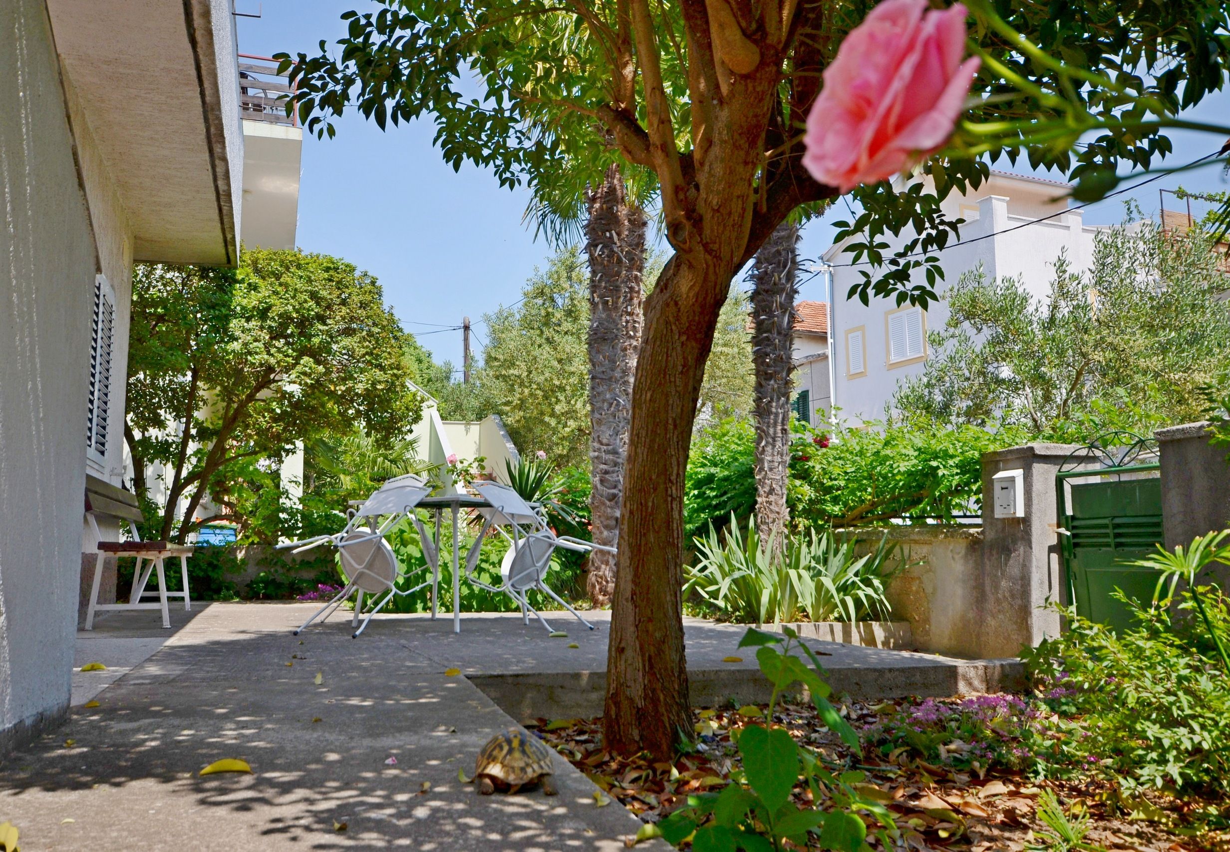 Apartments Miroslava 10581-A1