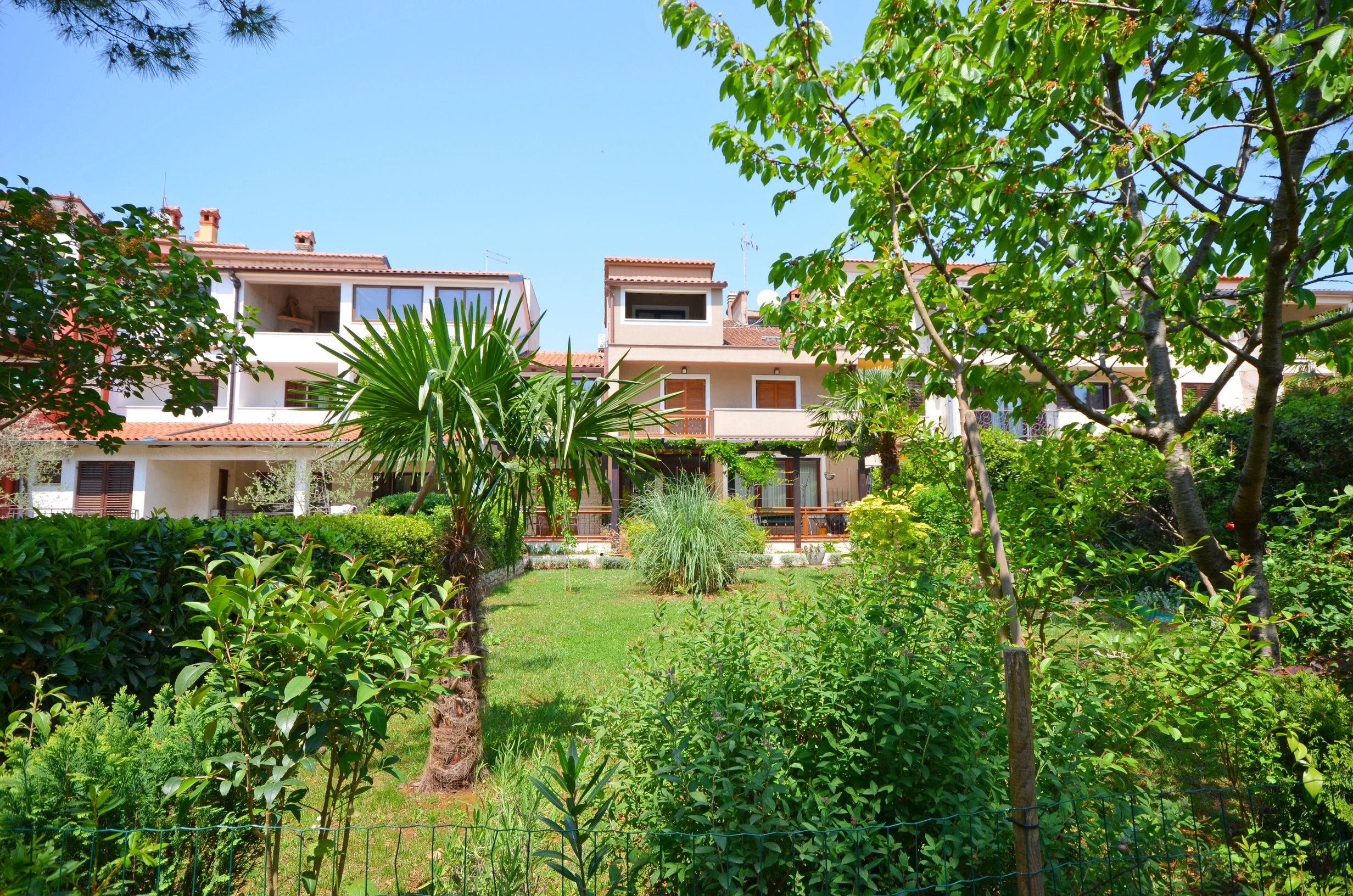 Apartments Branko 75551-A2