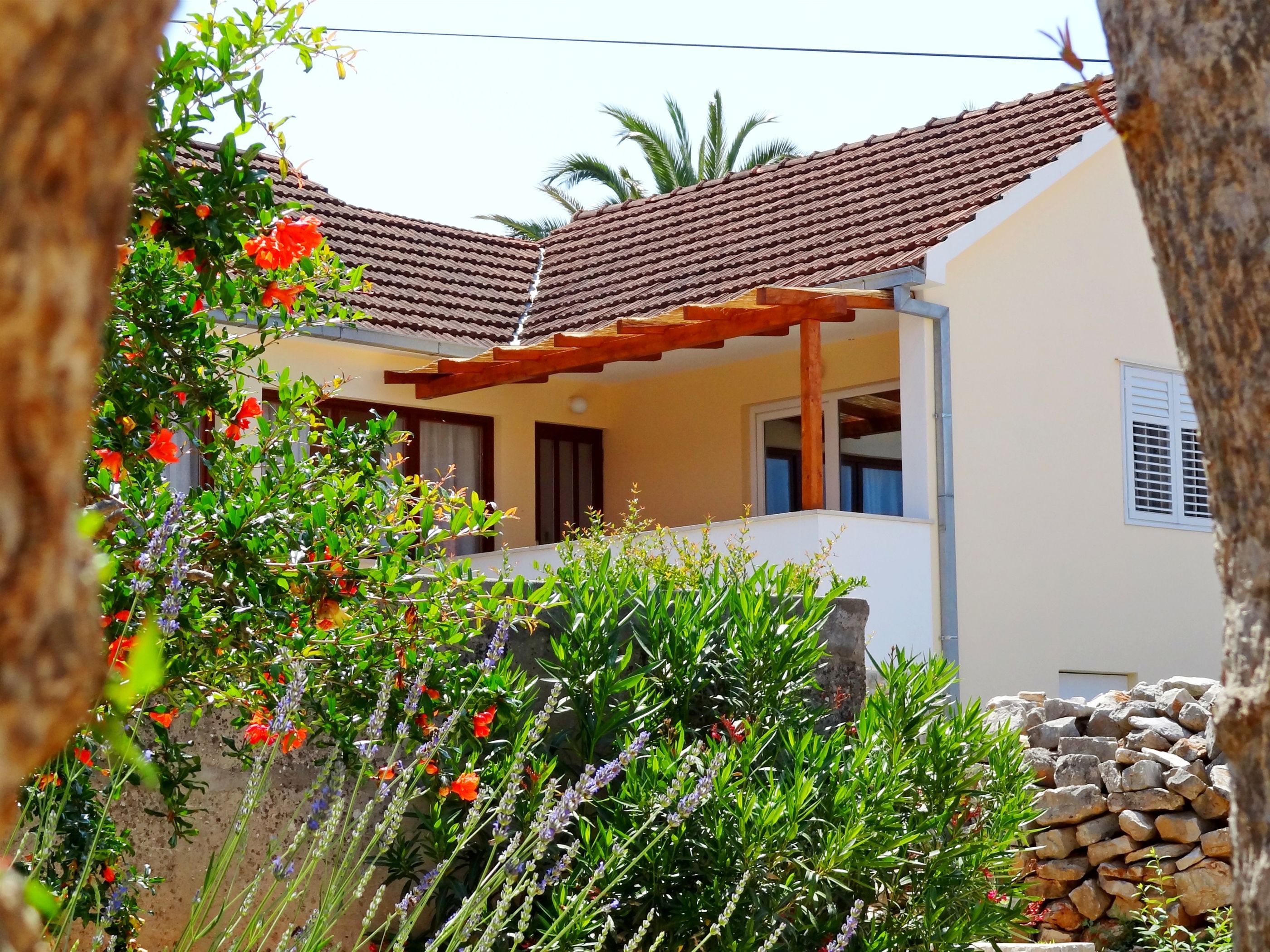 House Lara 11851-K1