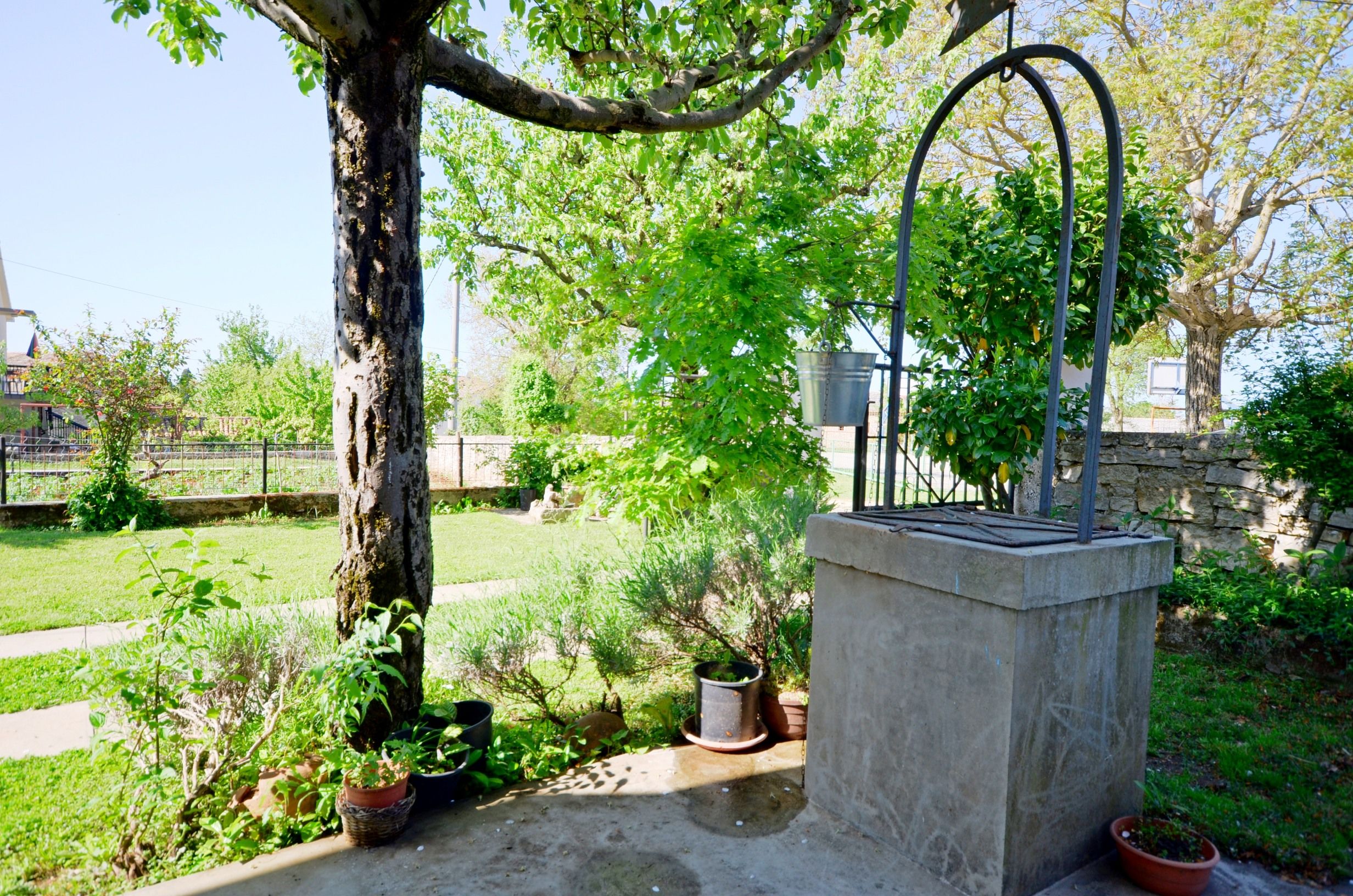 Photo of Apartment Srblin