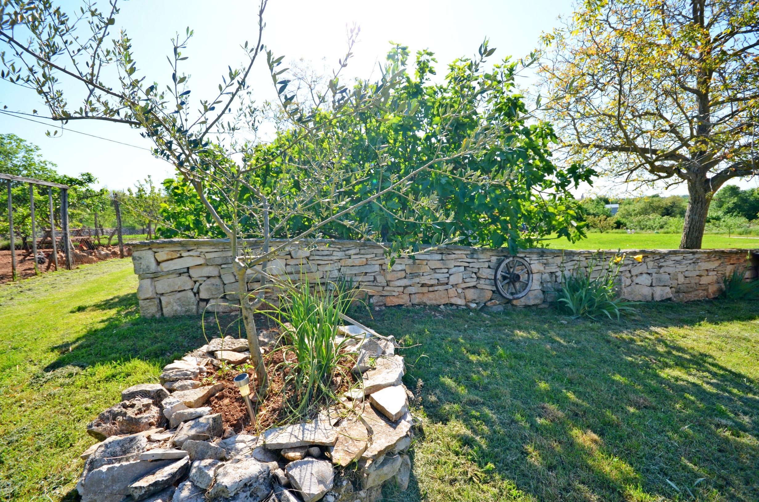 Photo of Apartment Srblin