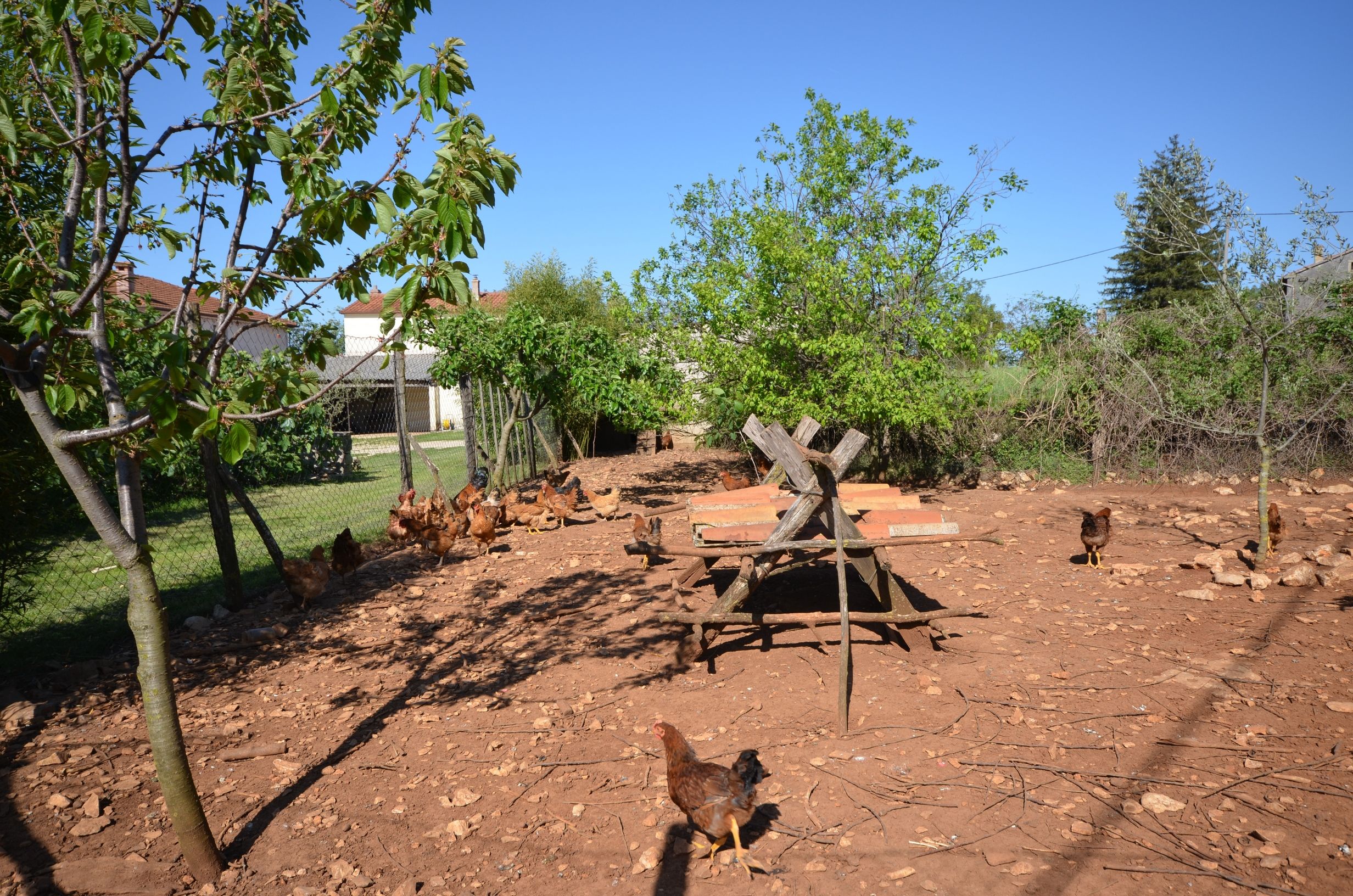 Photo of Apartment Srblin