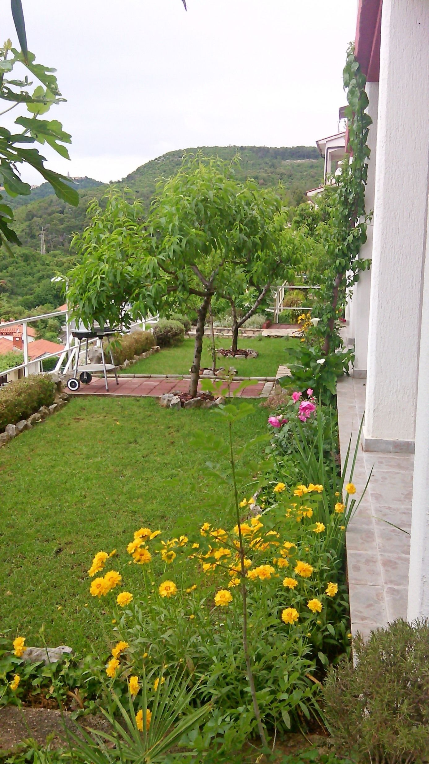 Apartments Elide 74651-A3