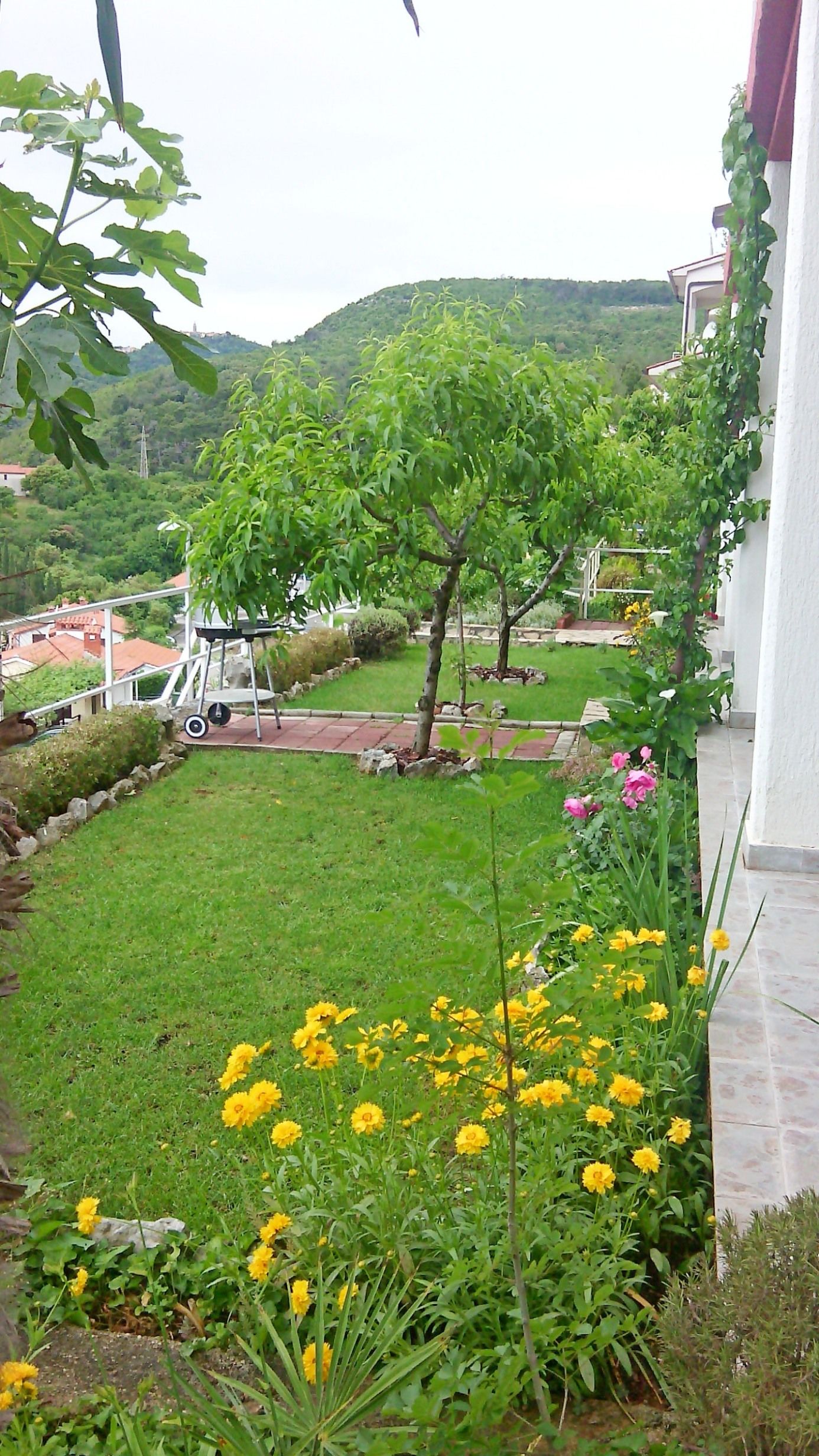 Apartments Elide 74651-A3