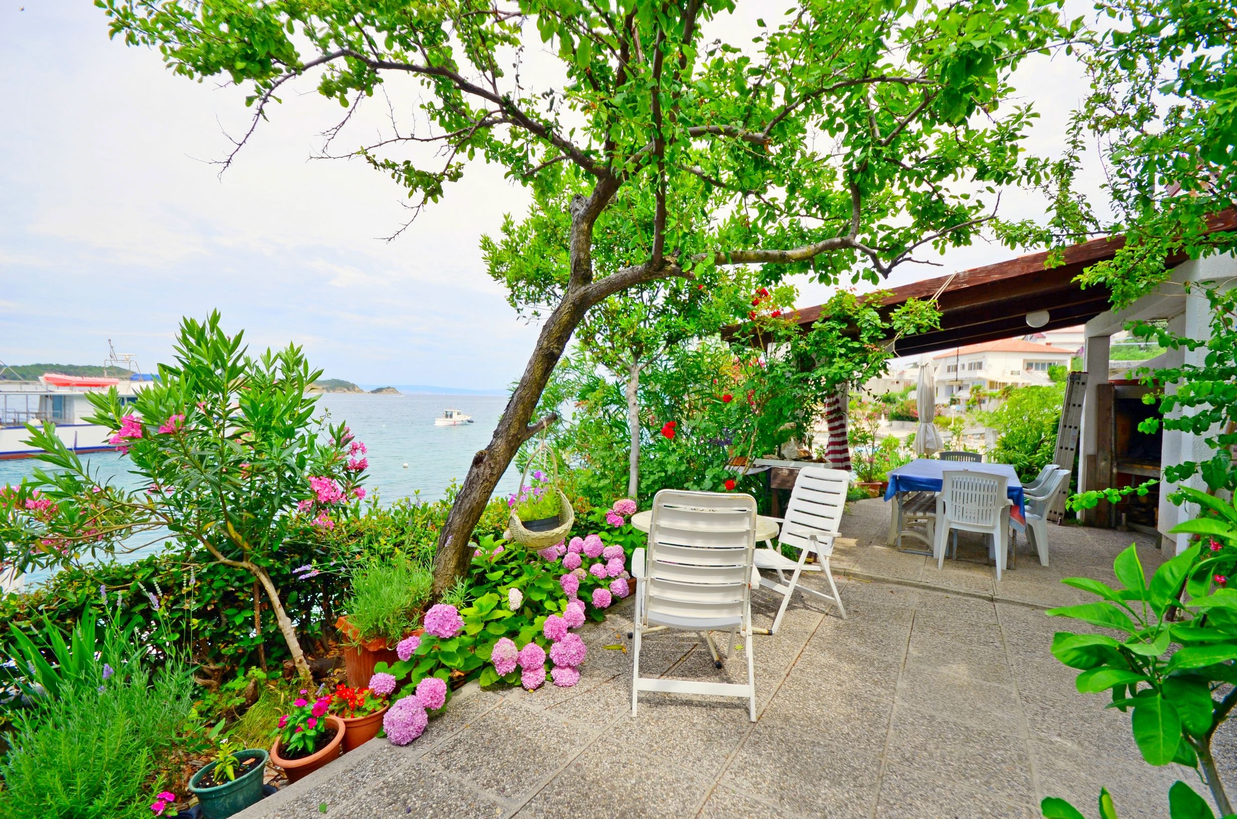 Photo of Apartments Vera