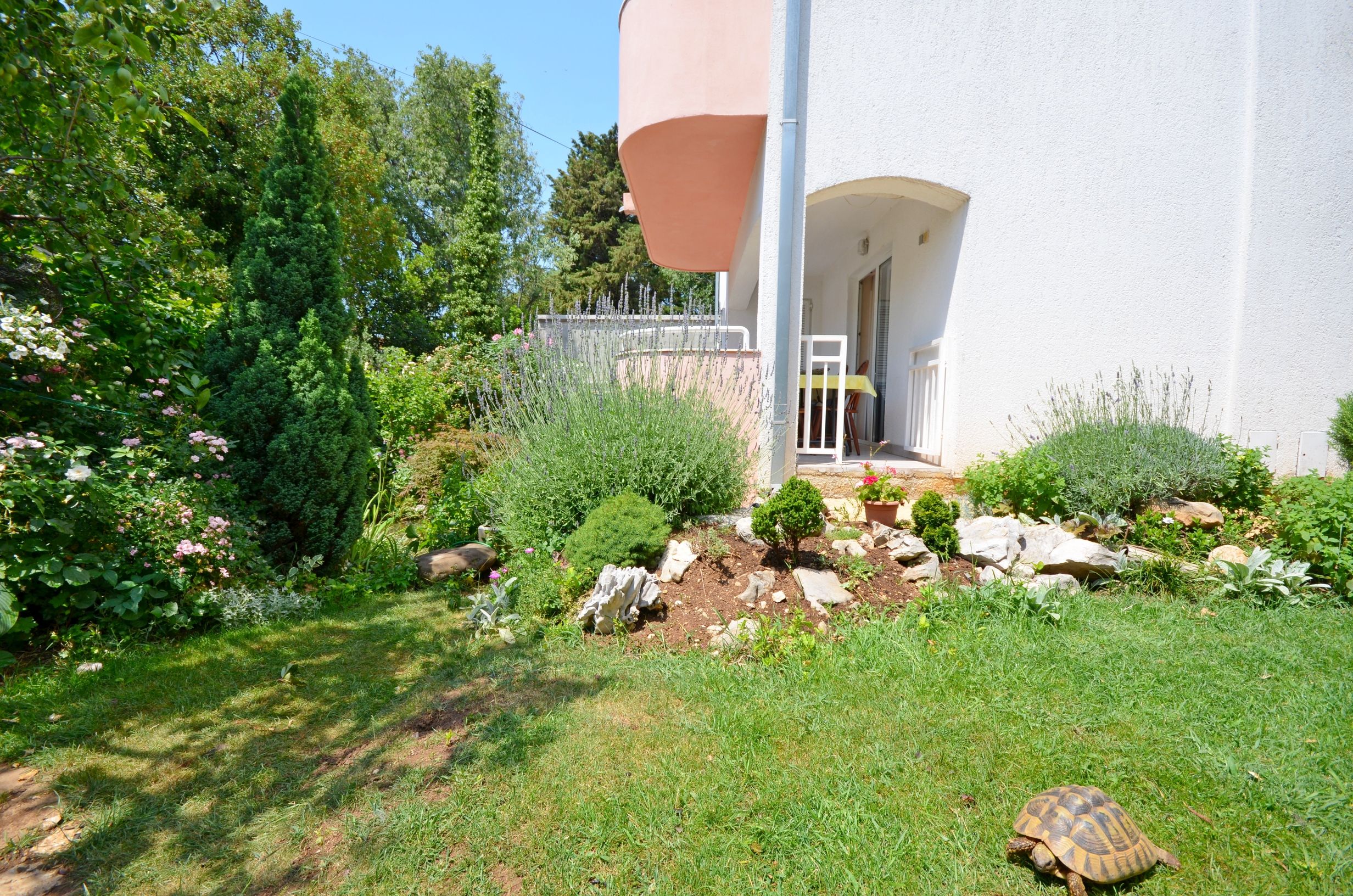 Apartments Snježana 67741-A4