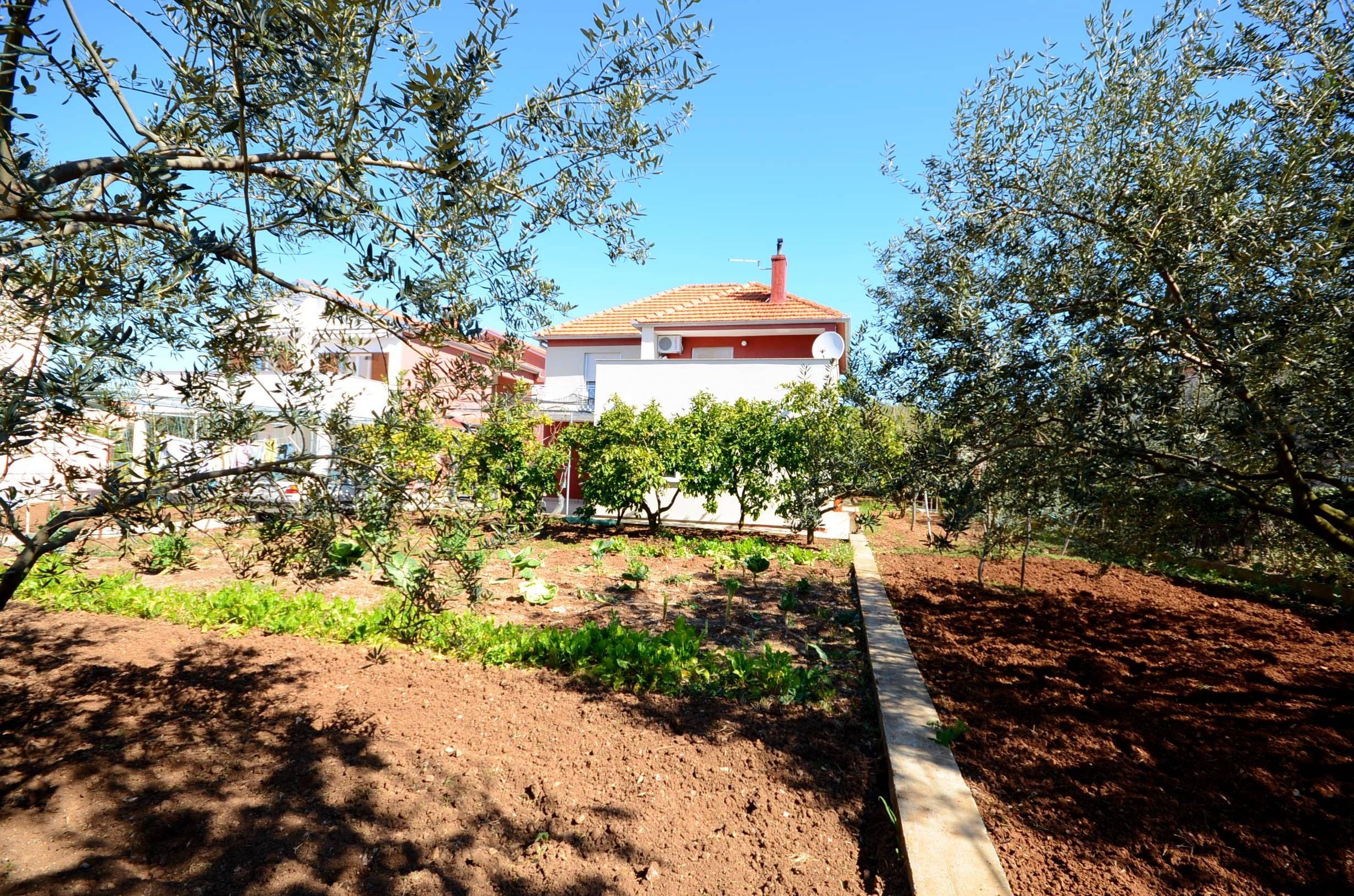 Apartment Ljubica 21191-A1