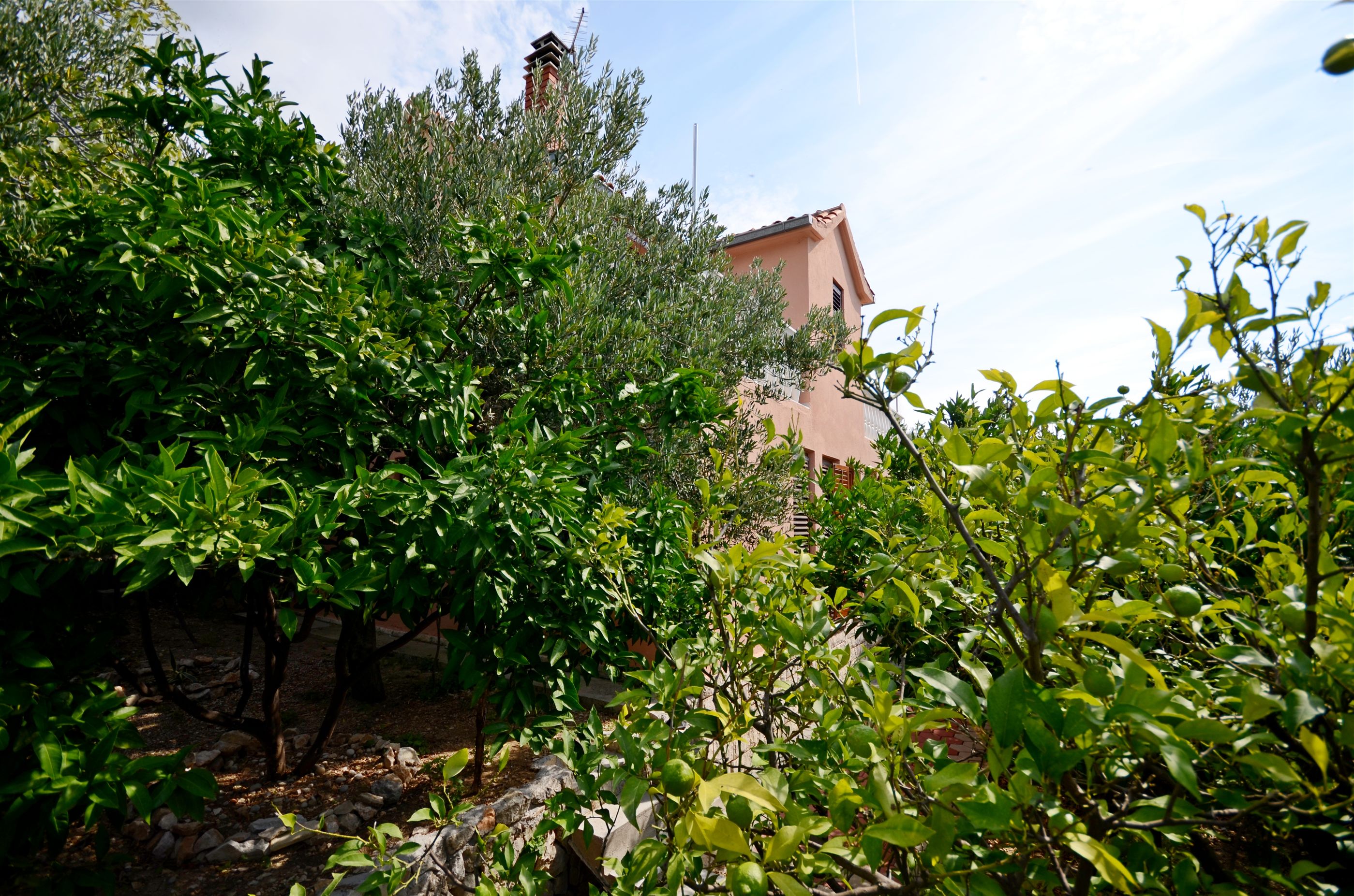 House Miroslav 33151-K1