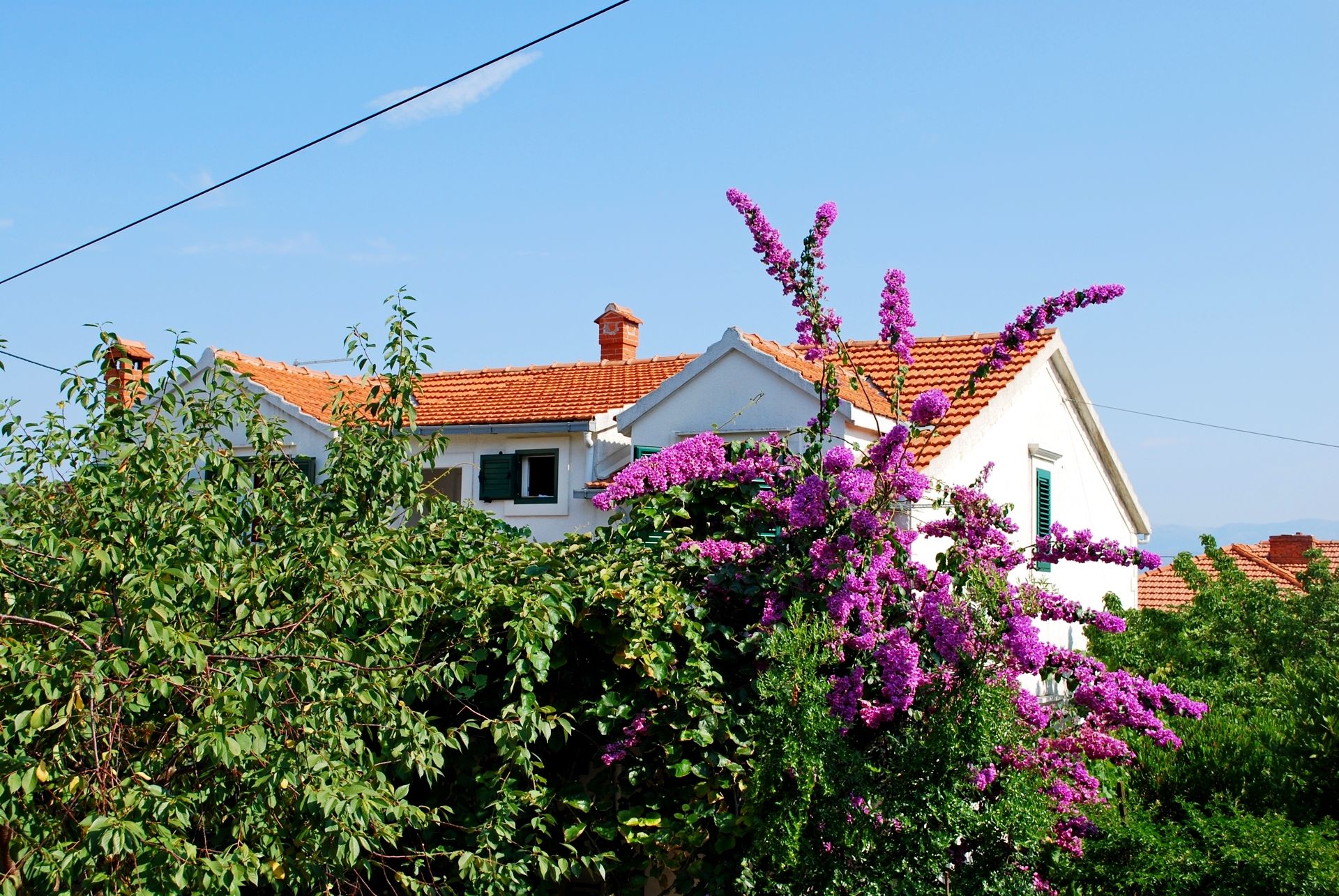Apartments Tihana 44621-A2