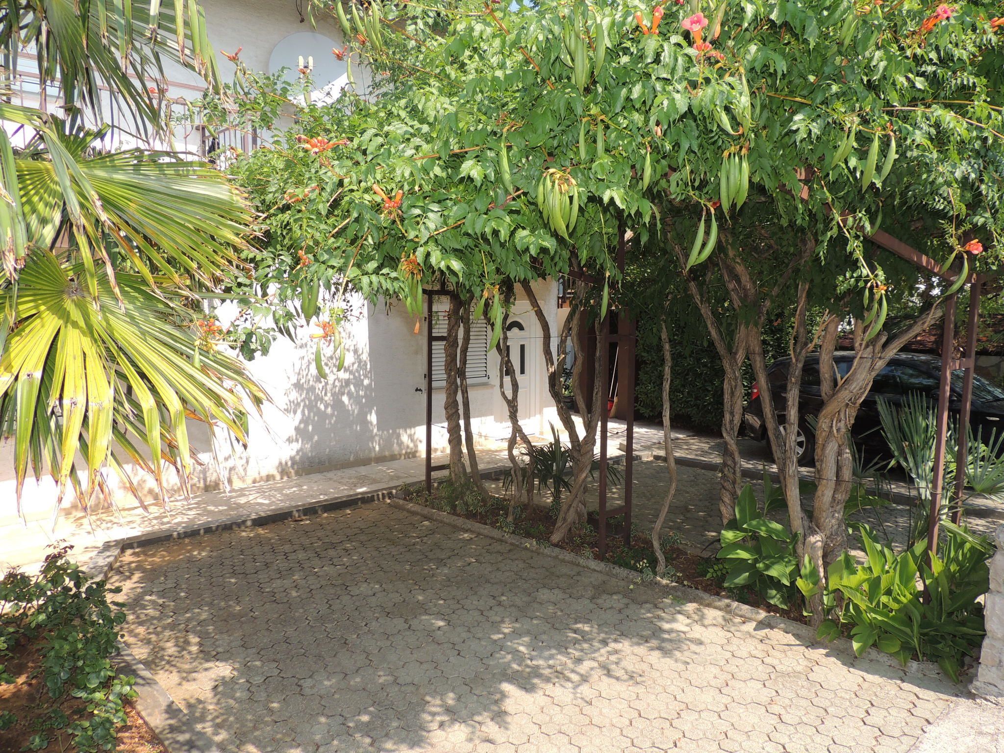 Apartments Dragica 62271-A1