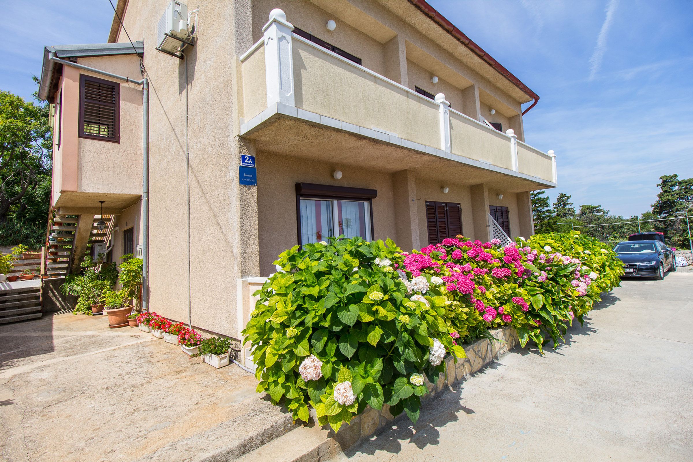 Apartment Ani 64591-A1