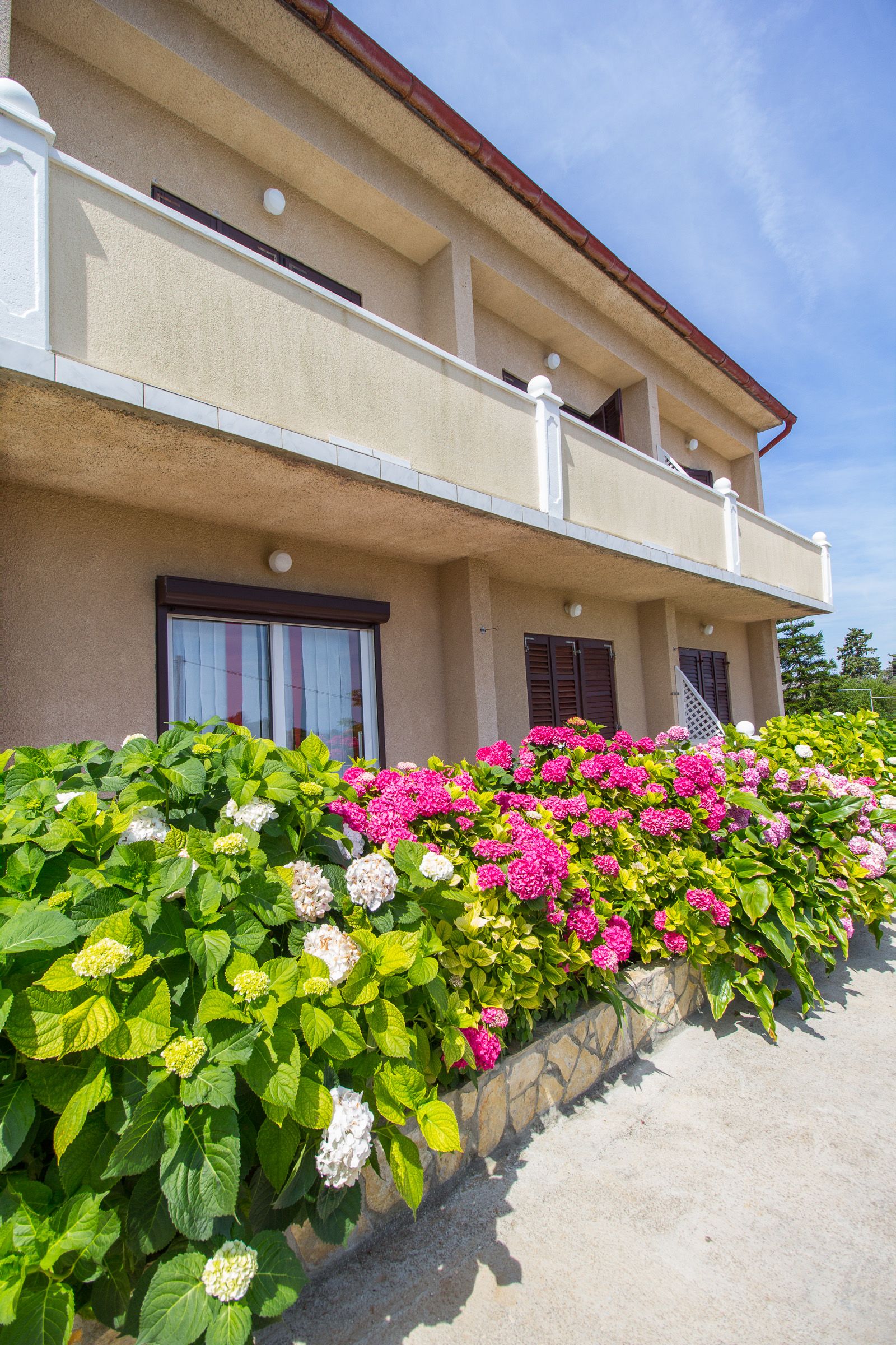 Apartment Ani 64591-A1