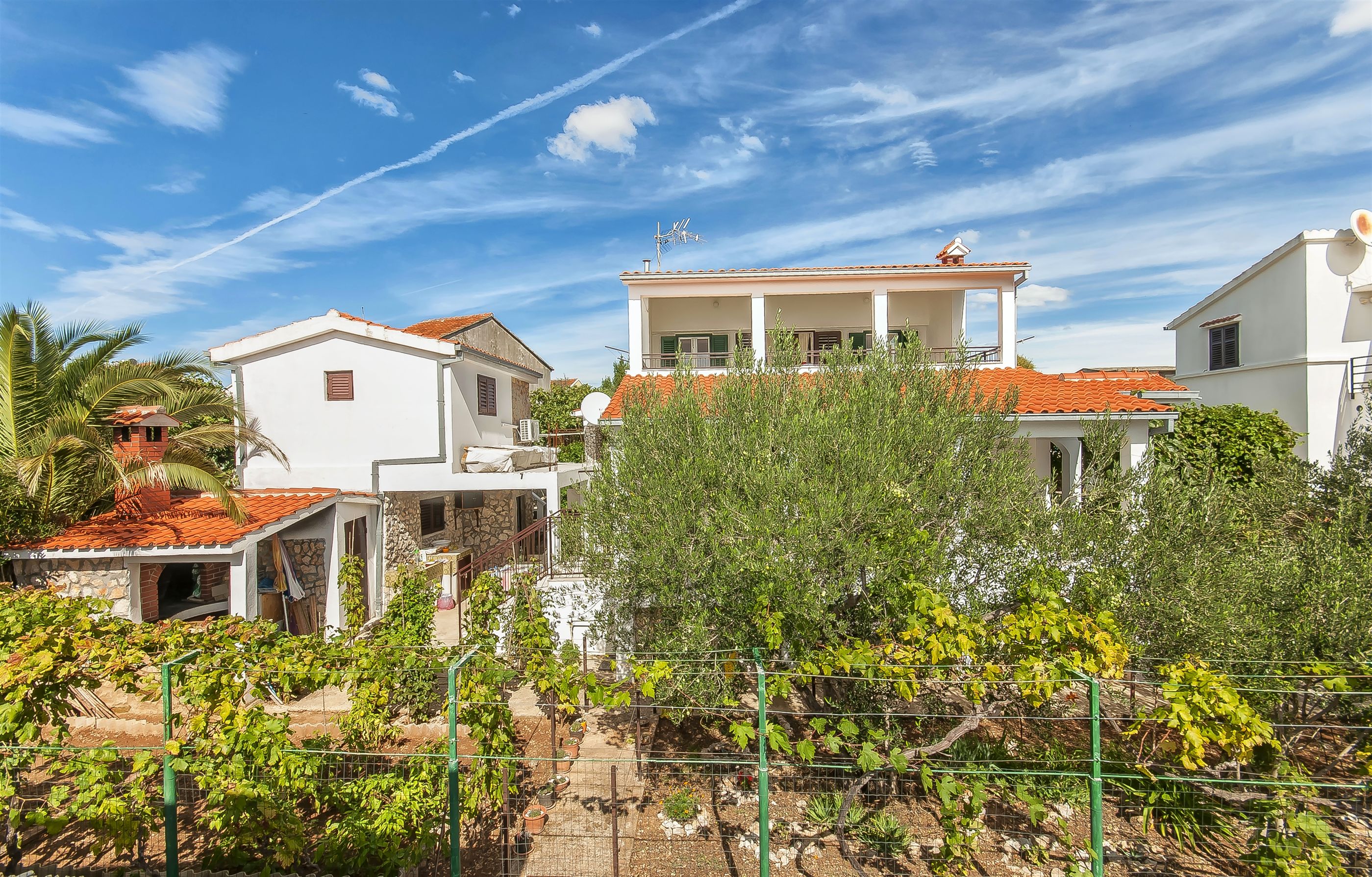 Apartments Srđan 12511-A1