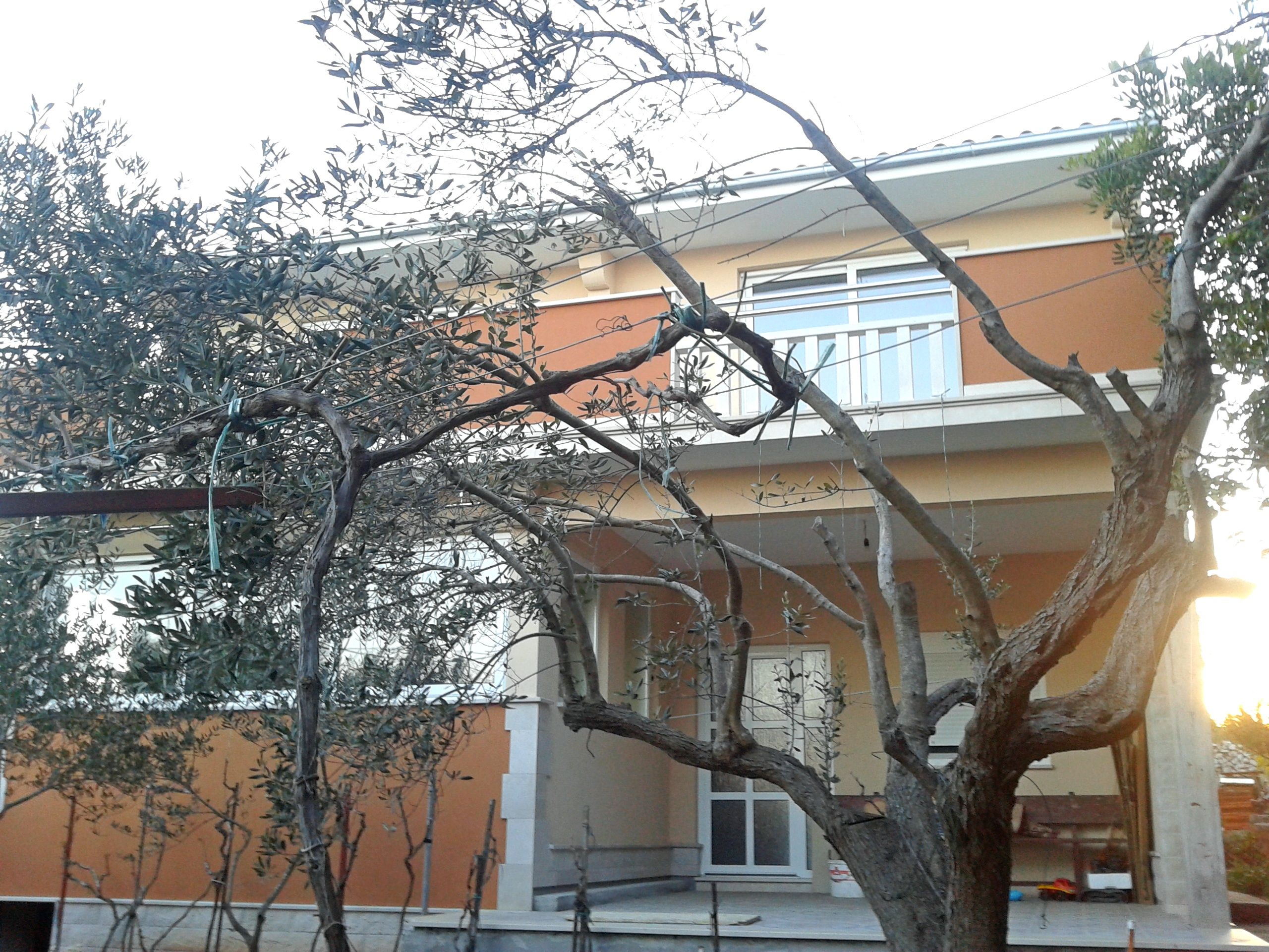 Apartments Mira 43461-A3