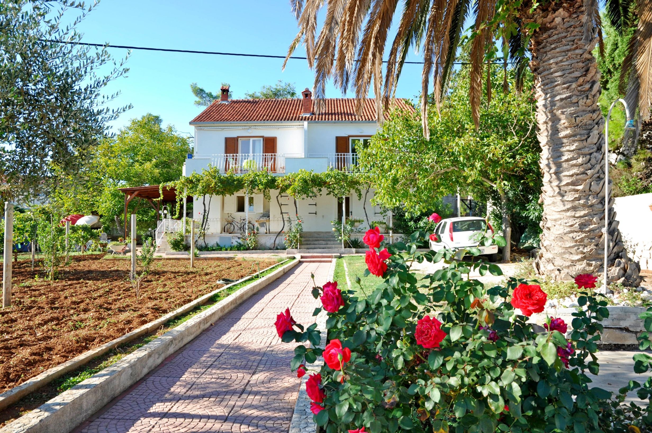 Apartments Jerko 34931-A1