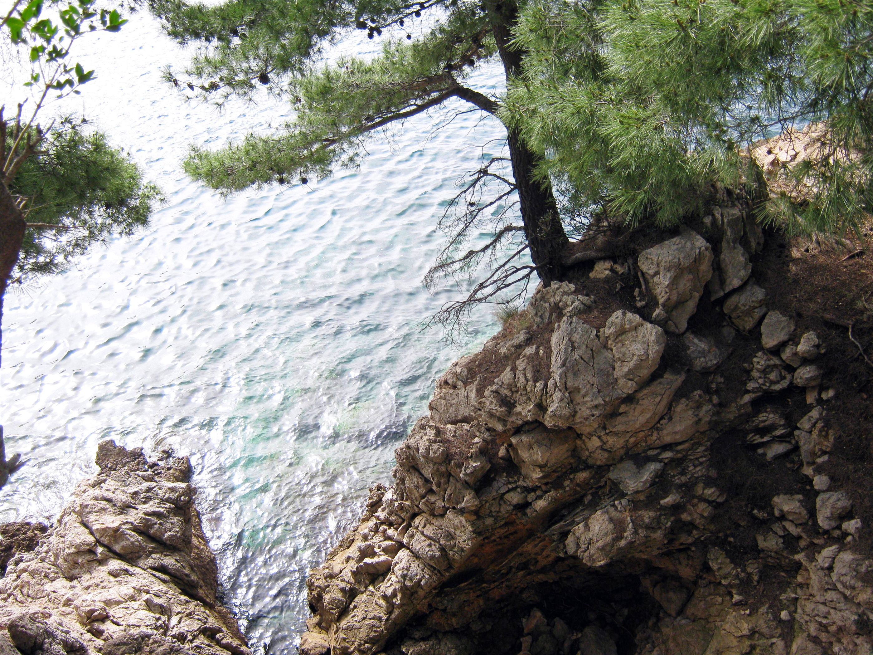 Photo of Apartment Ivica