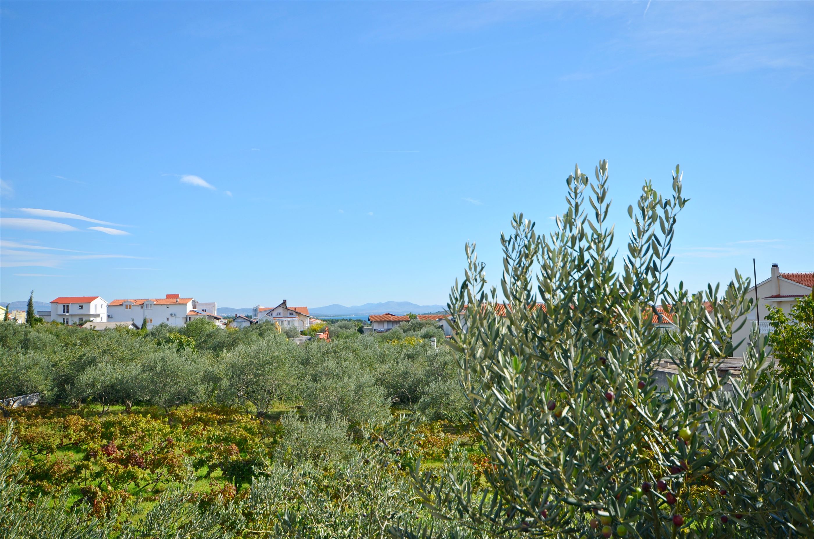 Apartment and Rooms Ivana 58191-A3
