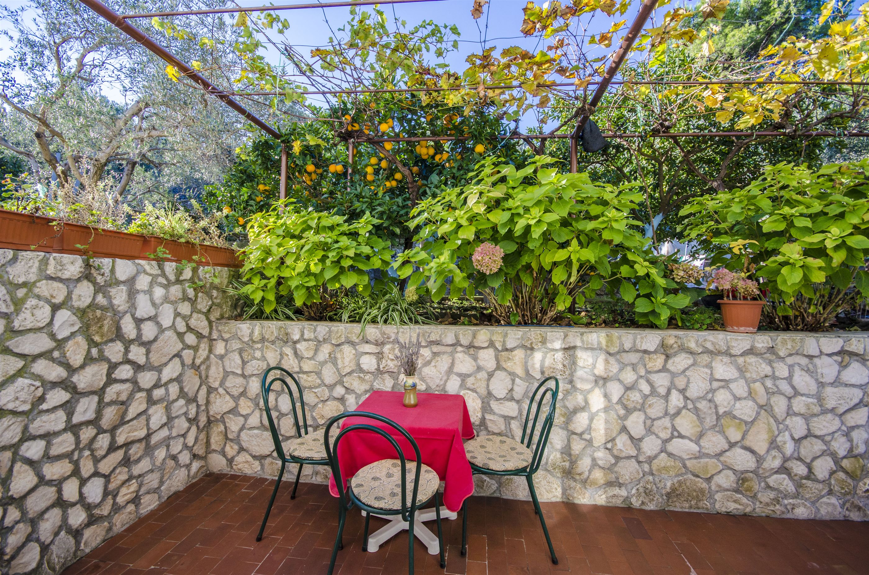 Apartments Dragica 41091-A1
