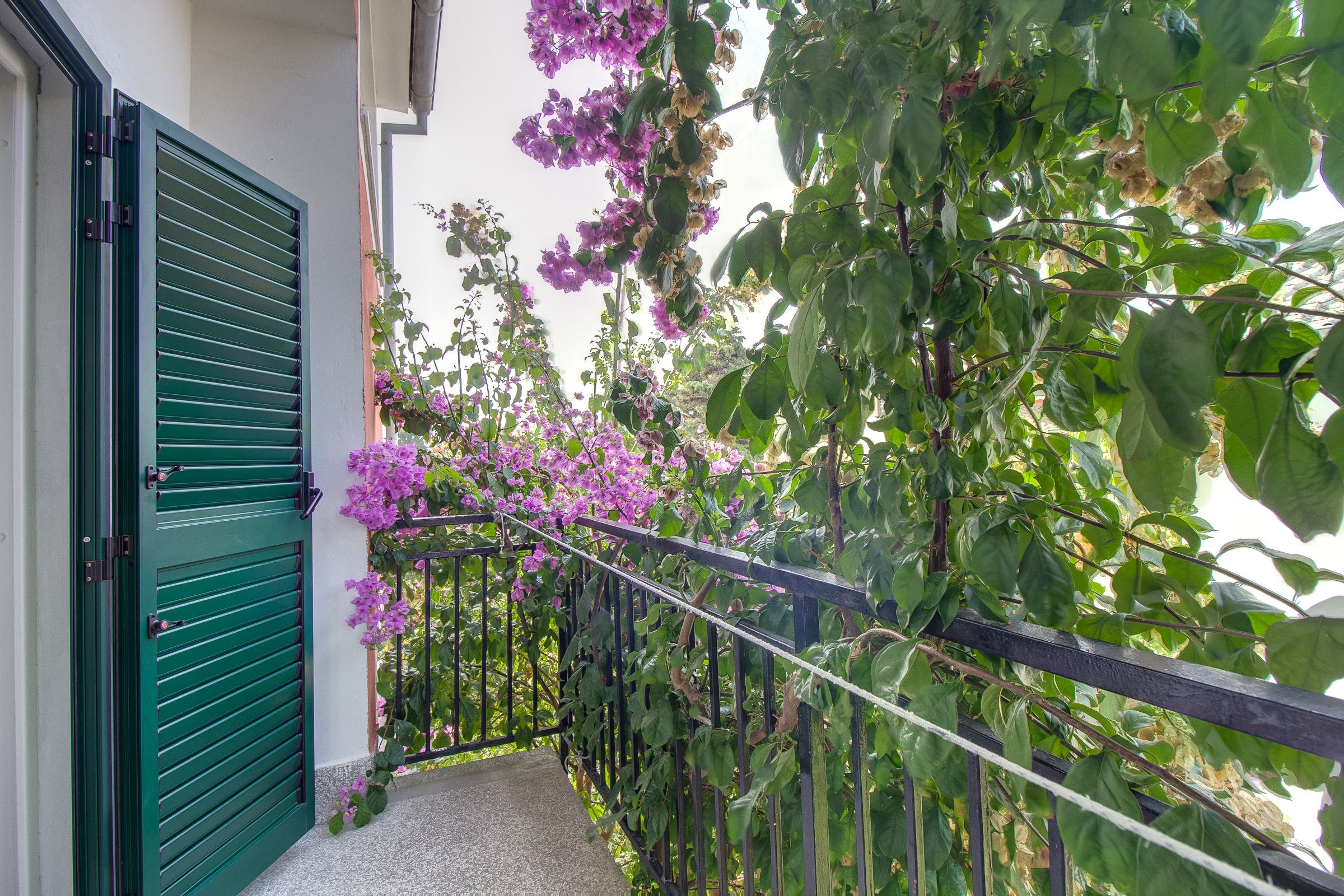Apartment Nedi 94043-A1