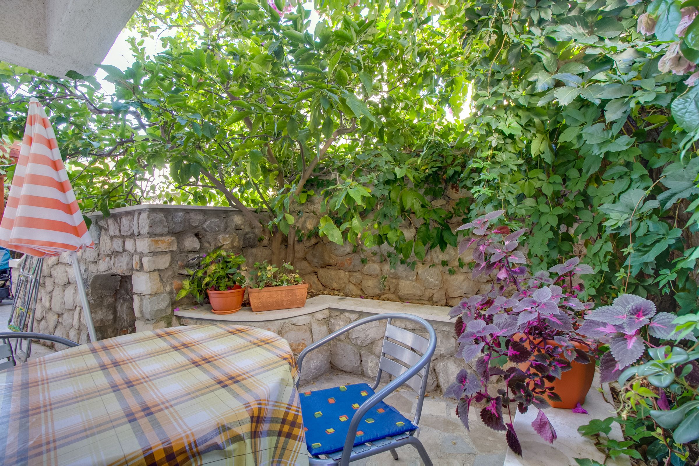 Apartments Suzana 94060-A1