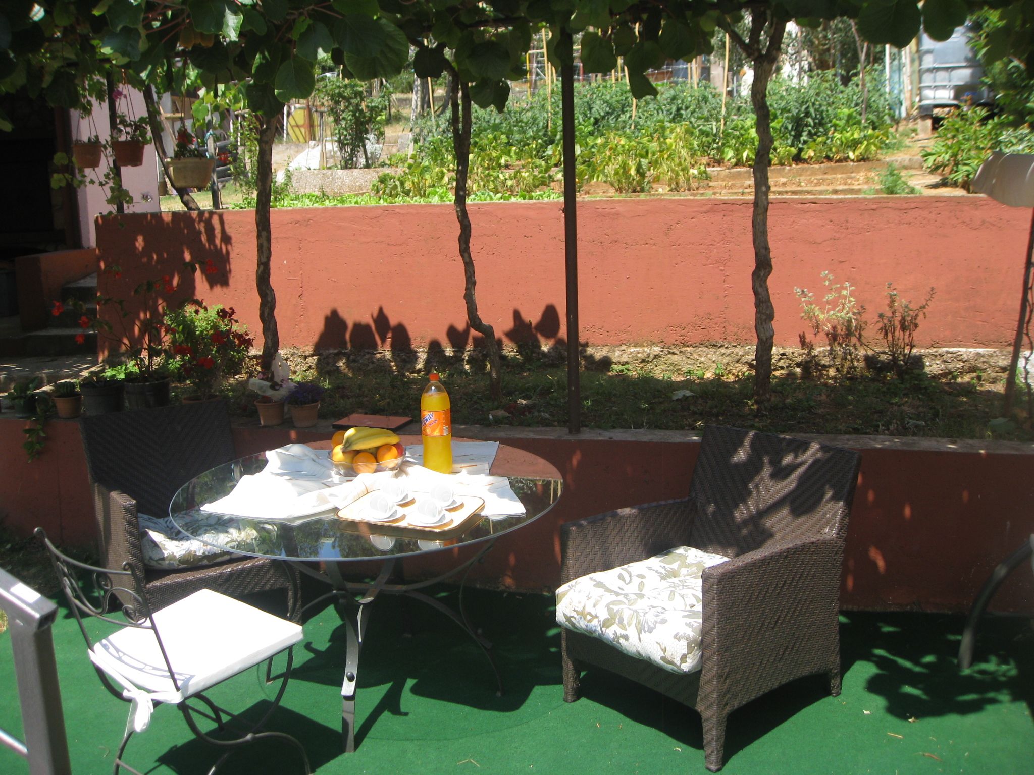 Photo of Apartment Predrag