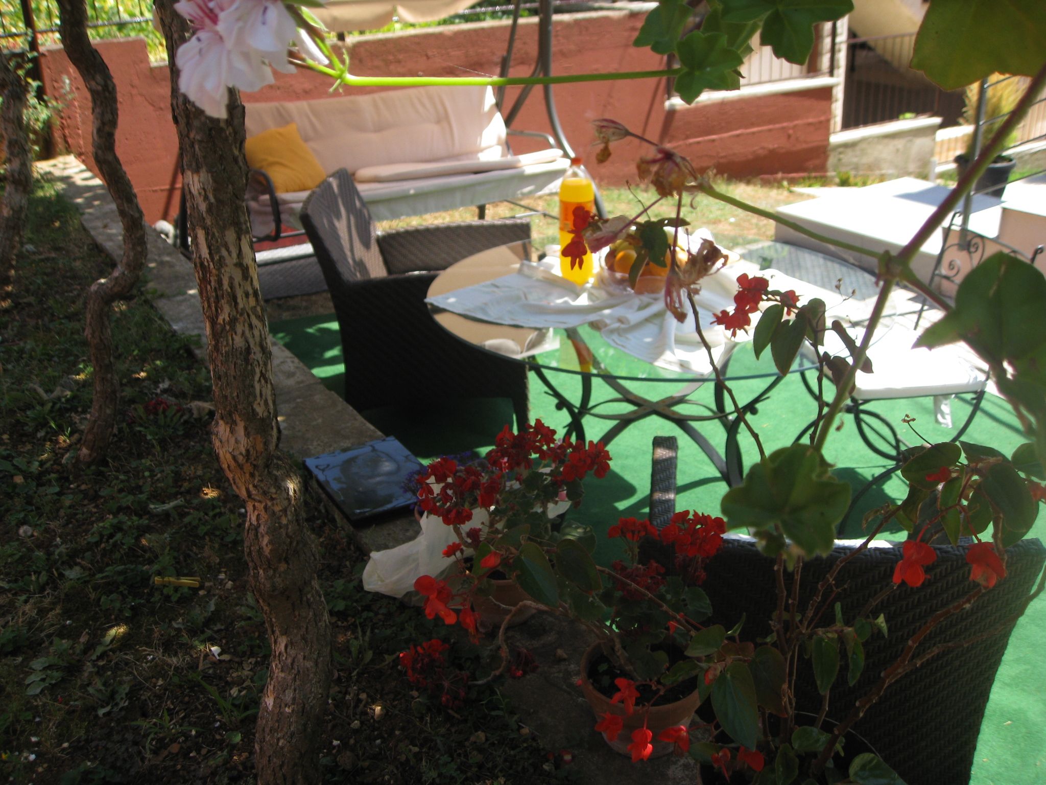 Photo of Apartment Predrag