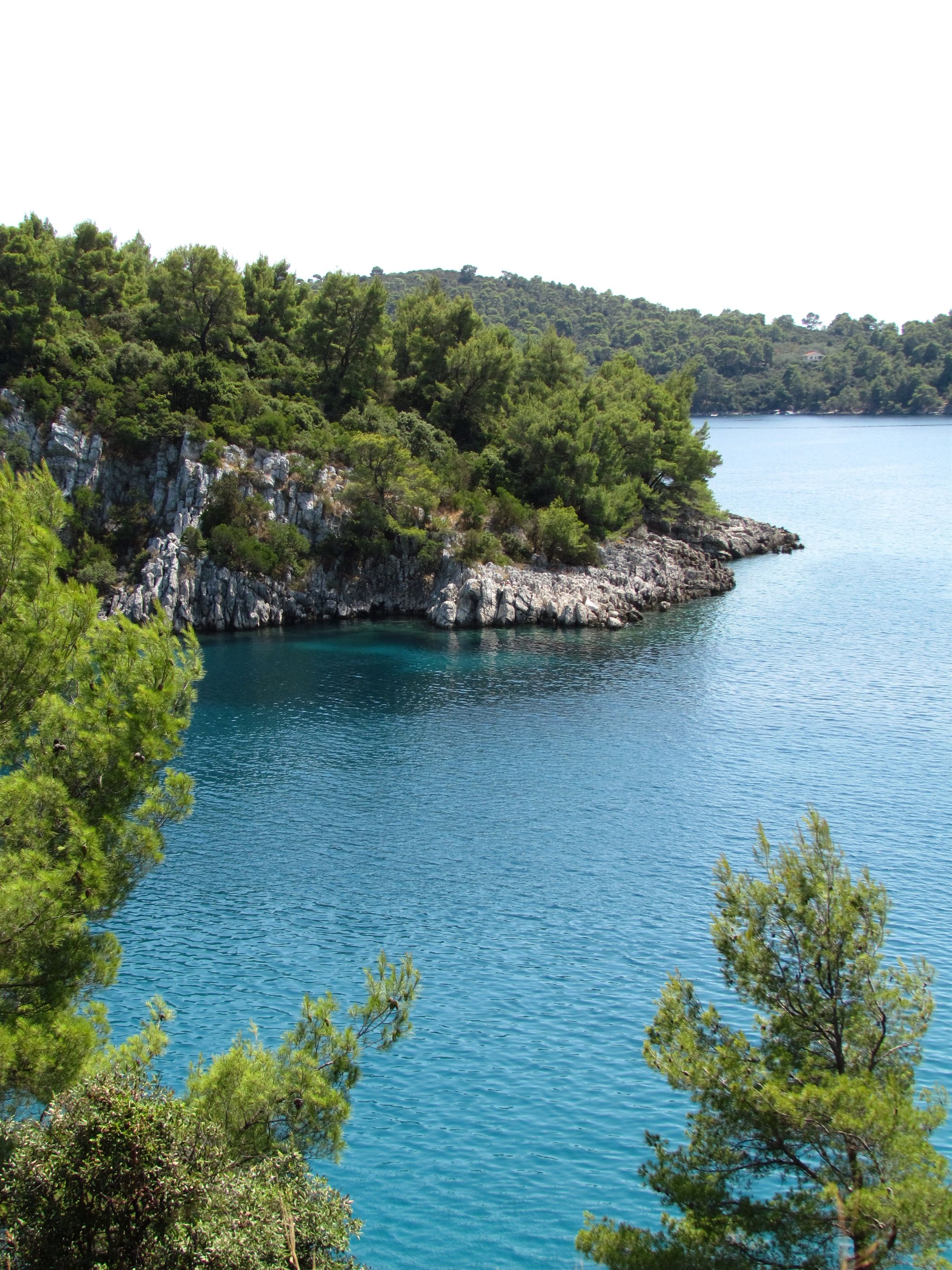 Photo of Apartments Dalibor