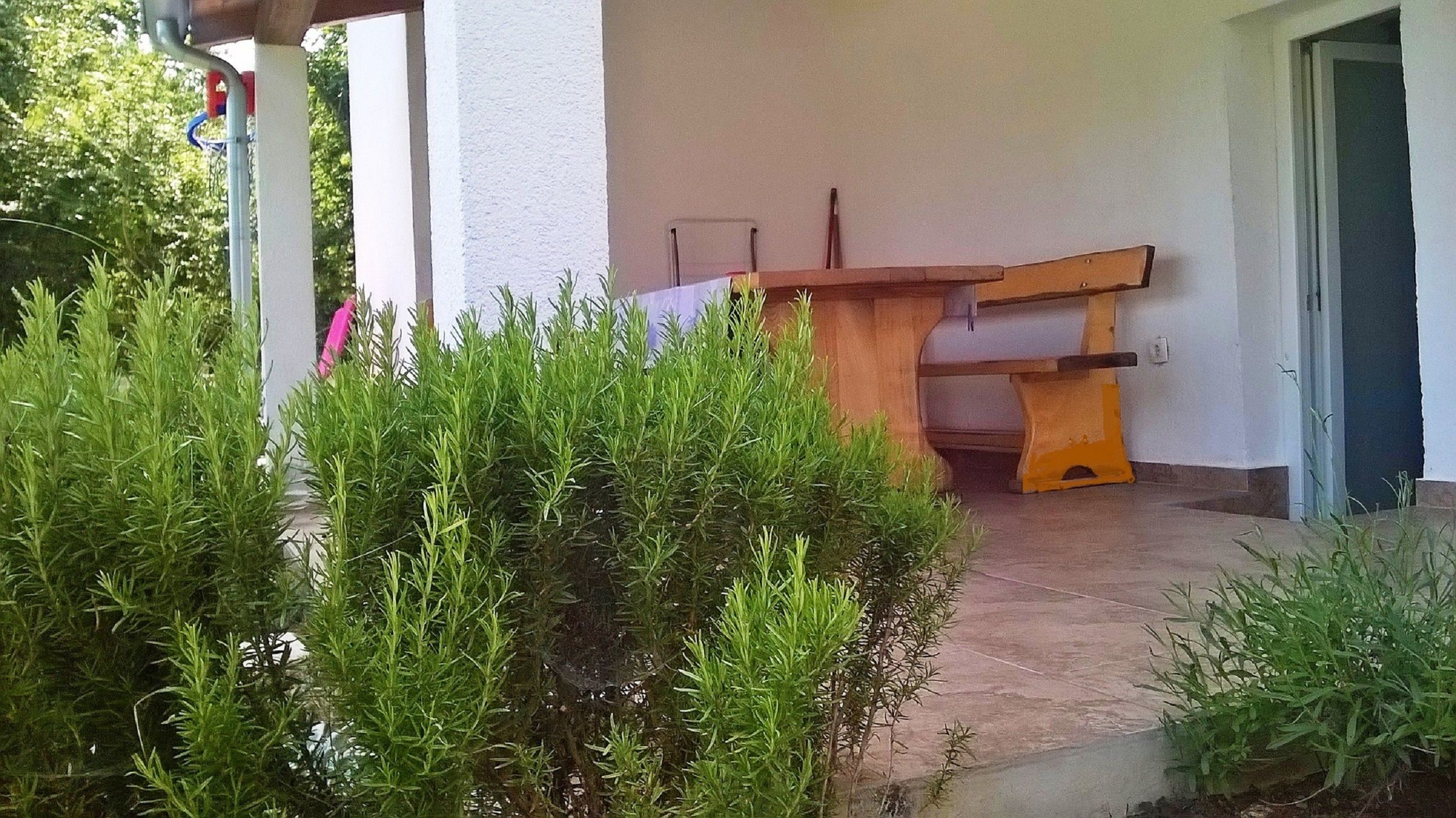 Photo of House Ivana