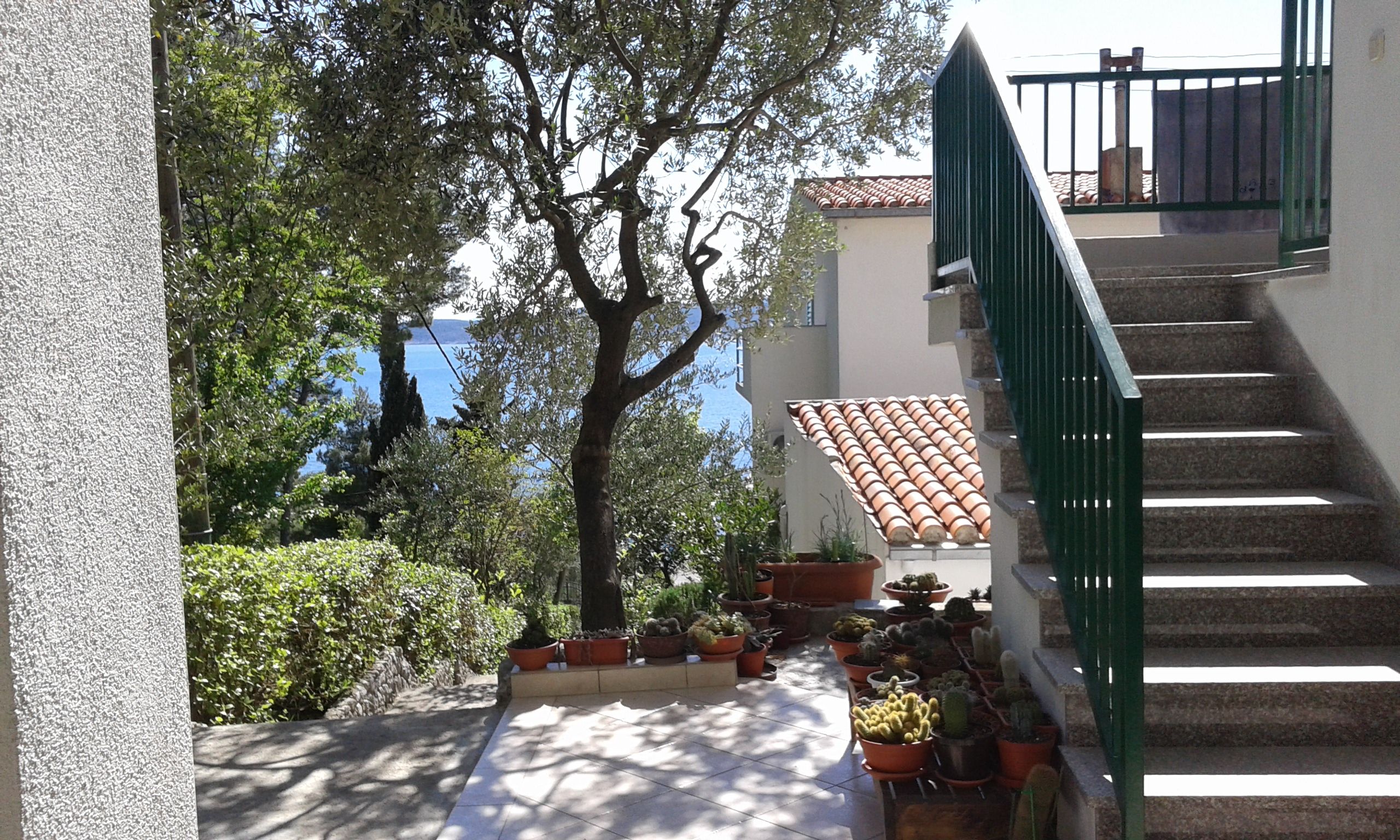 Apartments and Room Marin 13221-S2