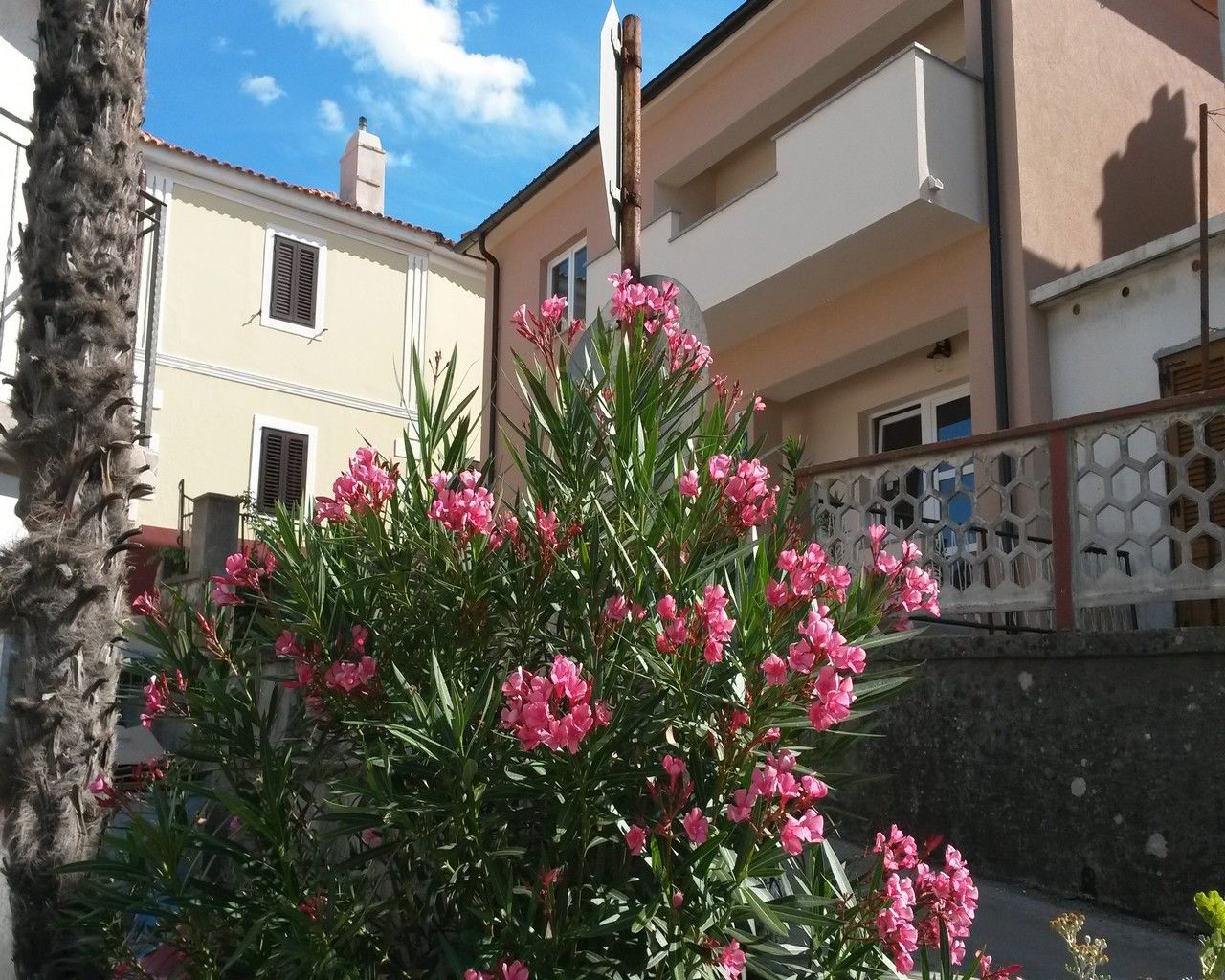 Apartment Ivana 63823-A1