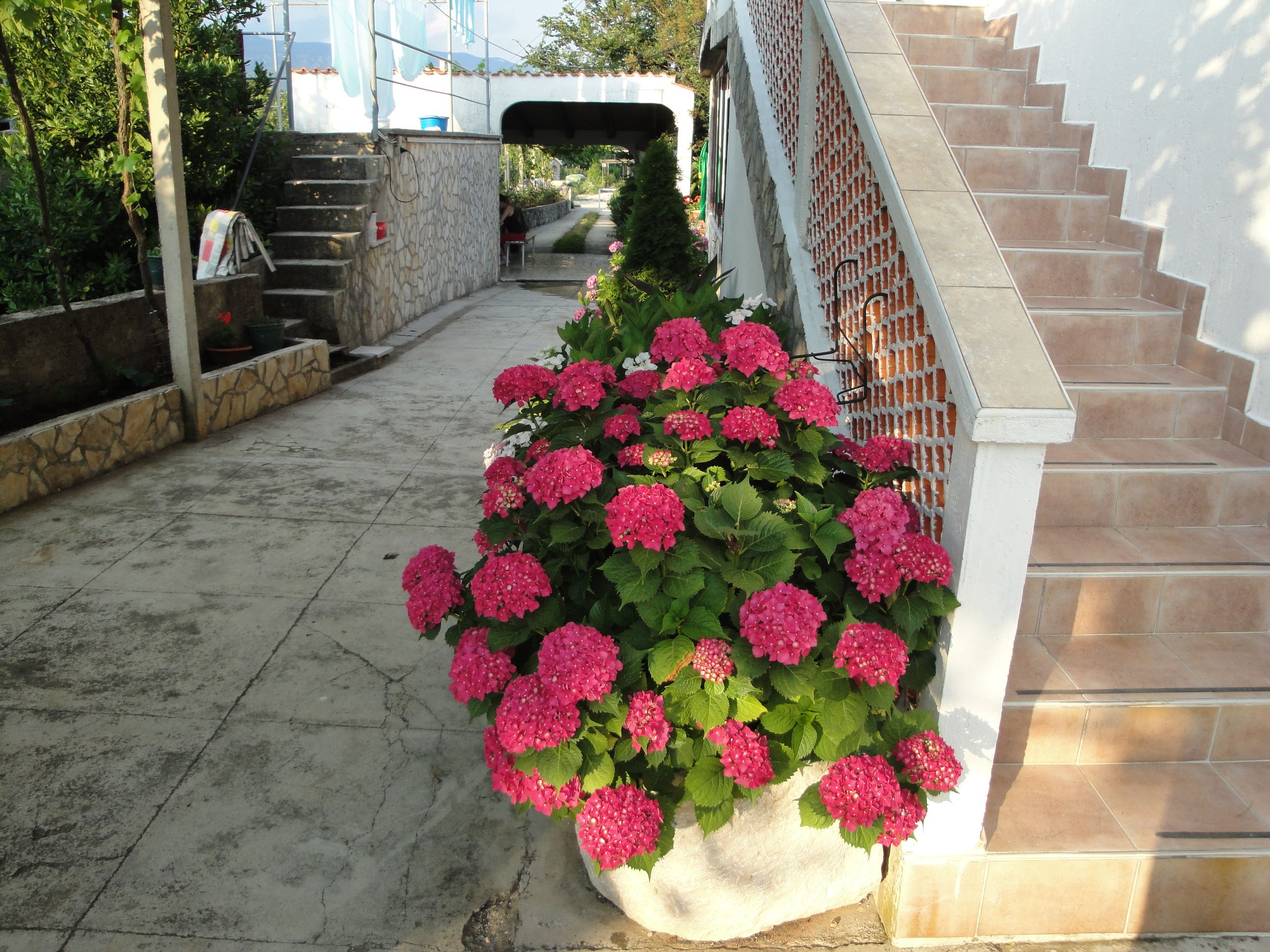 Apartments Anđela 63767-A3