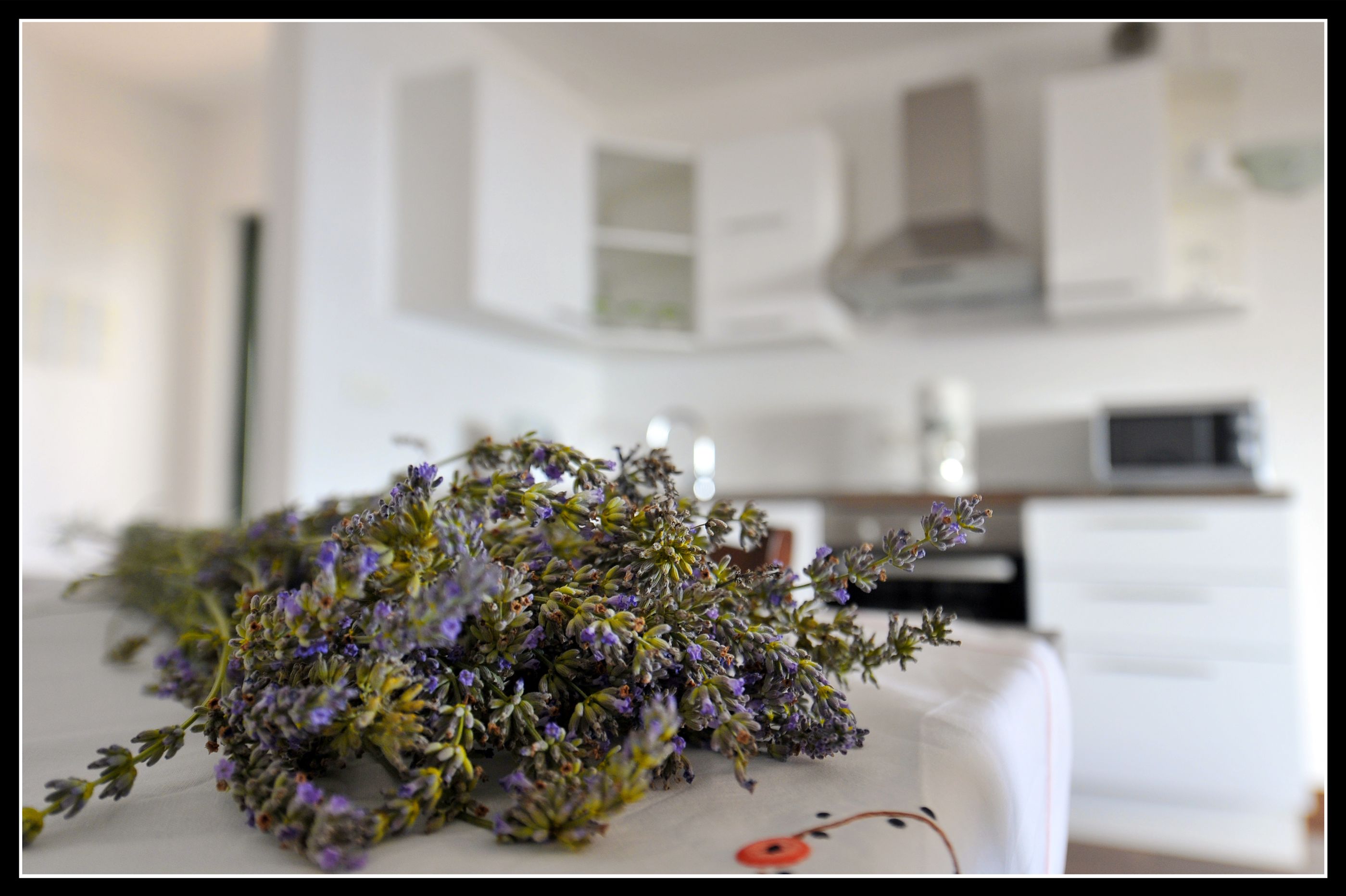 Apartments Sanja 13411-A1