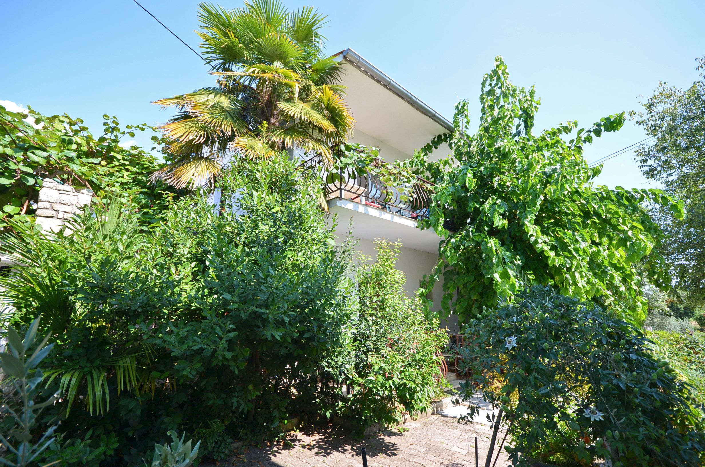 Photo of Apartments Massimo