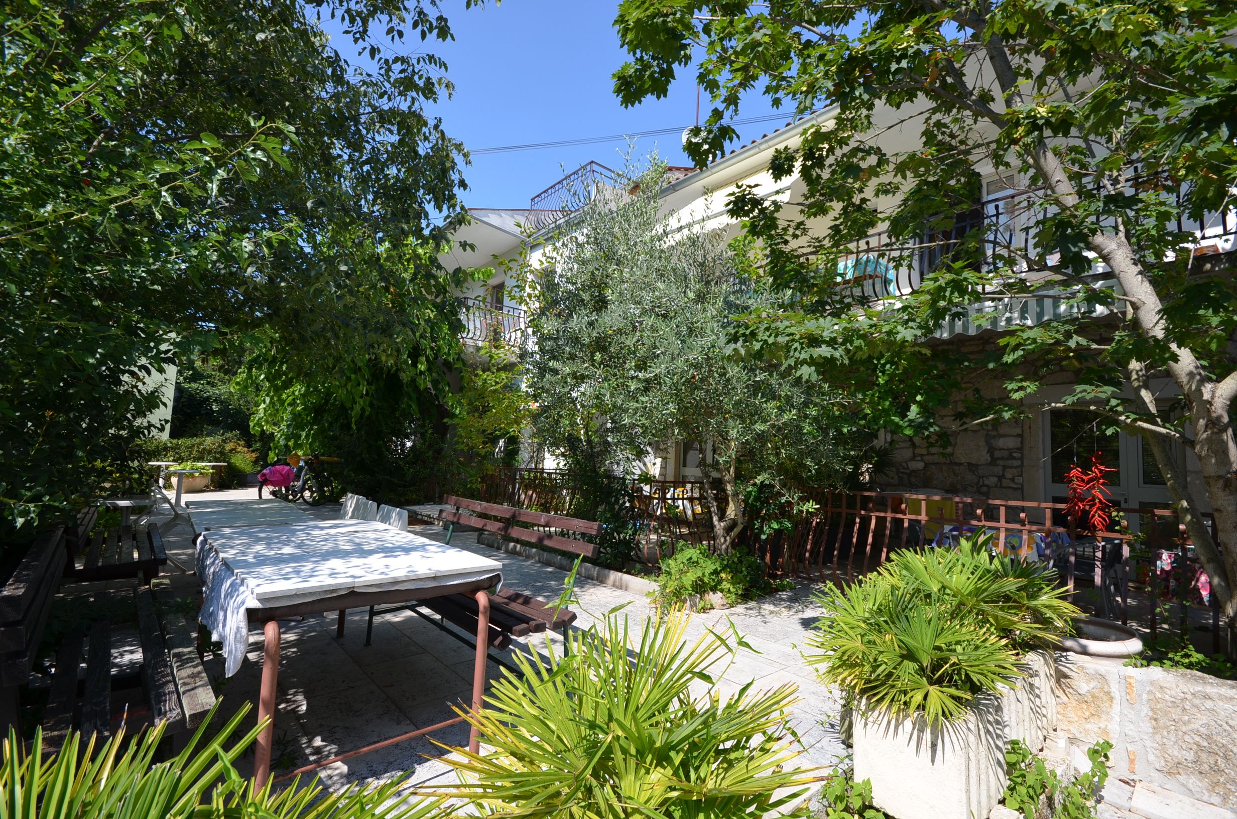 Photo of Apartments Massimo