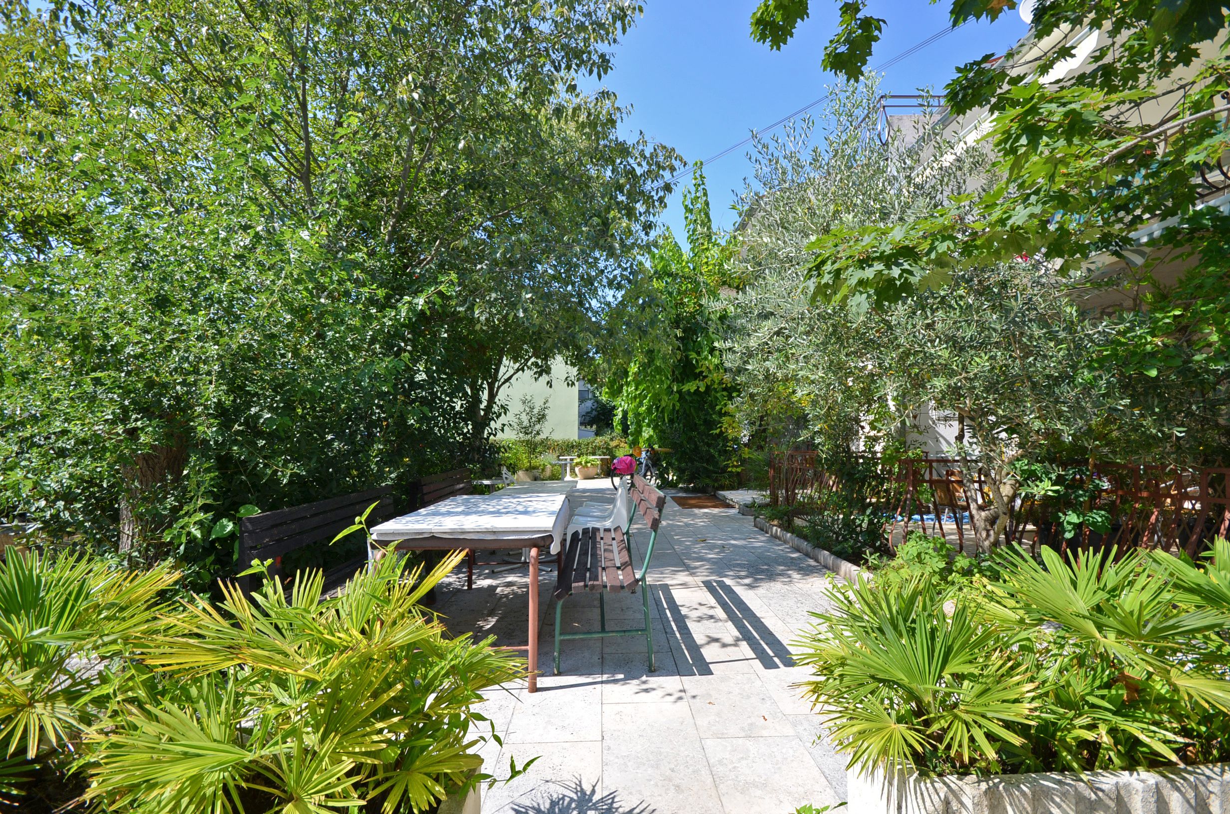 Photo of Apartments Massimo