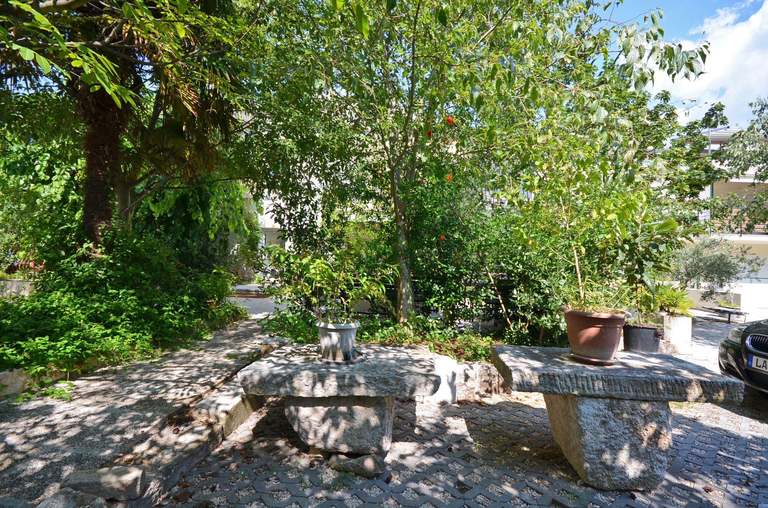 Photo of Apartments Massimo