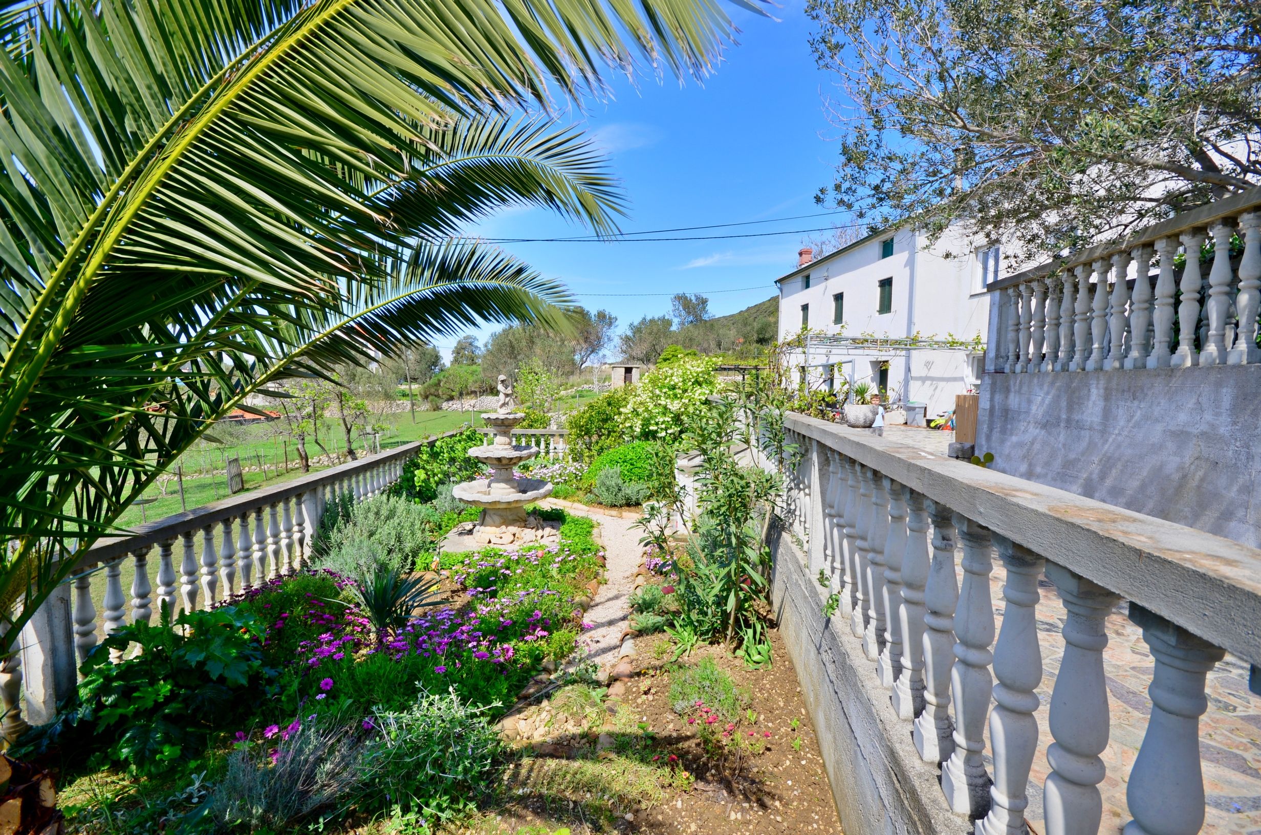 Photo of House Branka