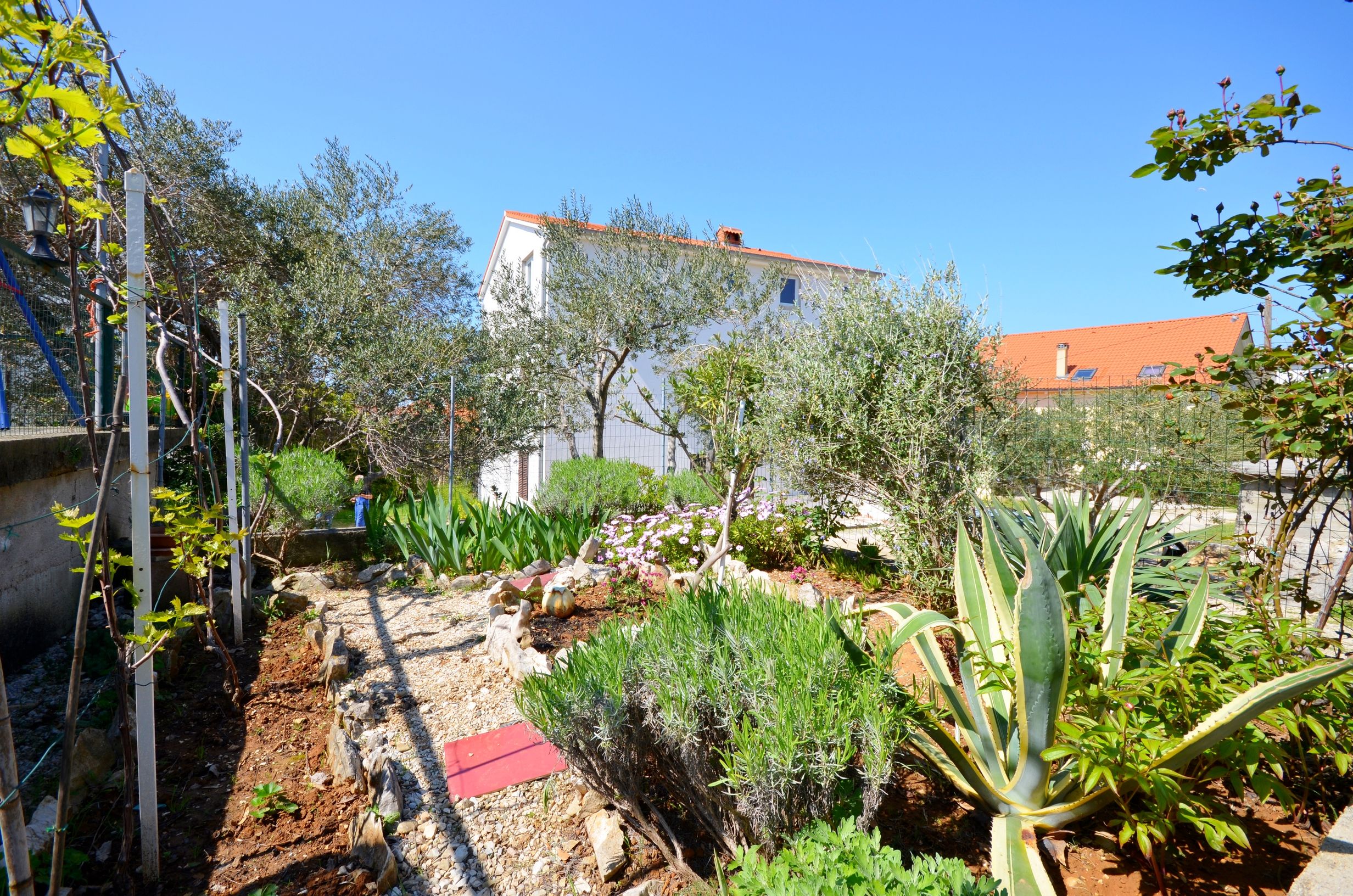 Apartments Ines 65041-A2